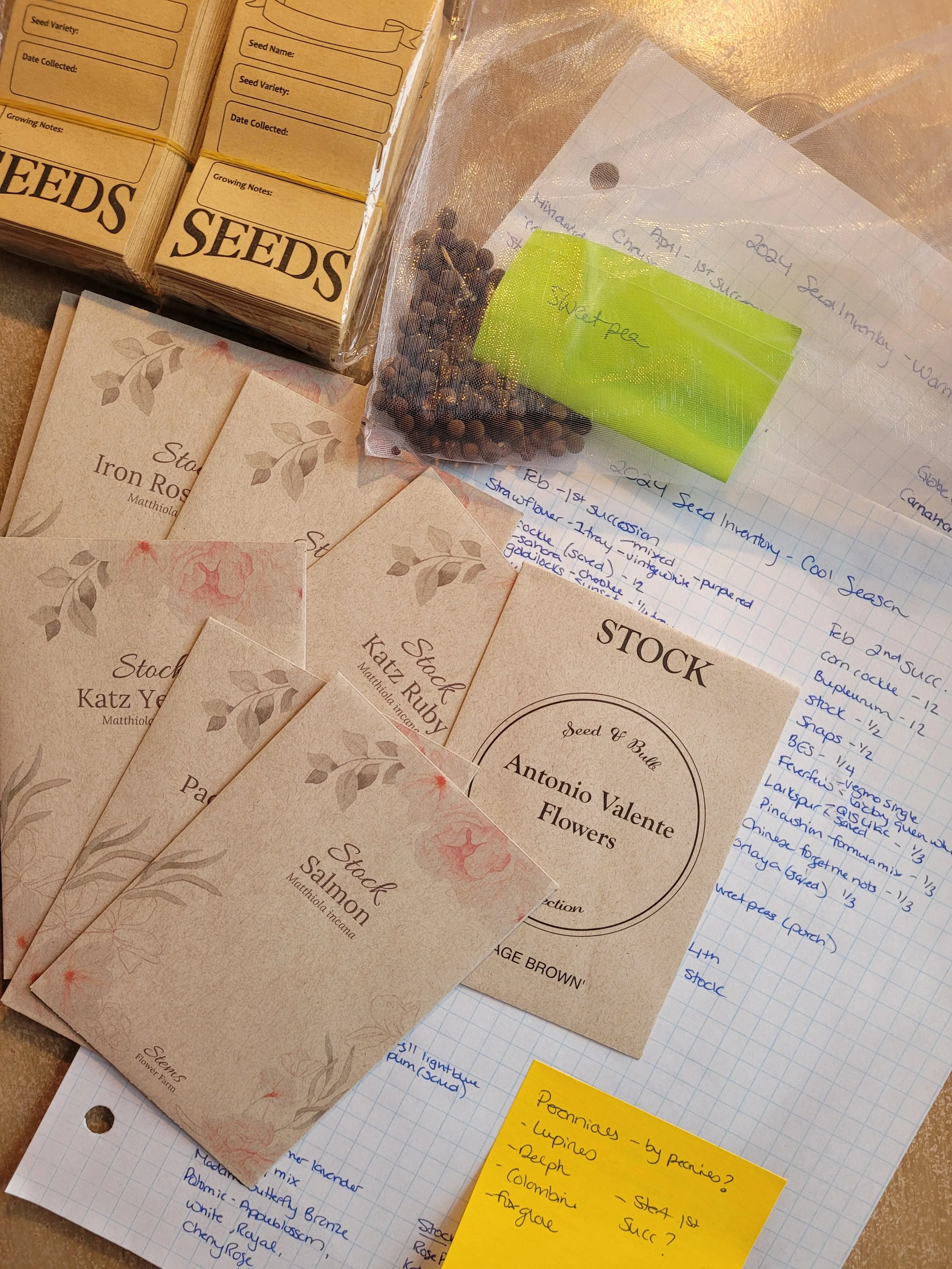 seed planning.jpg