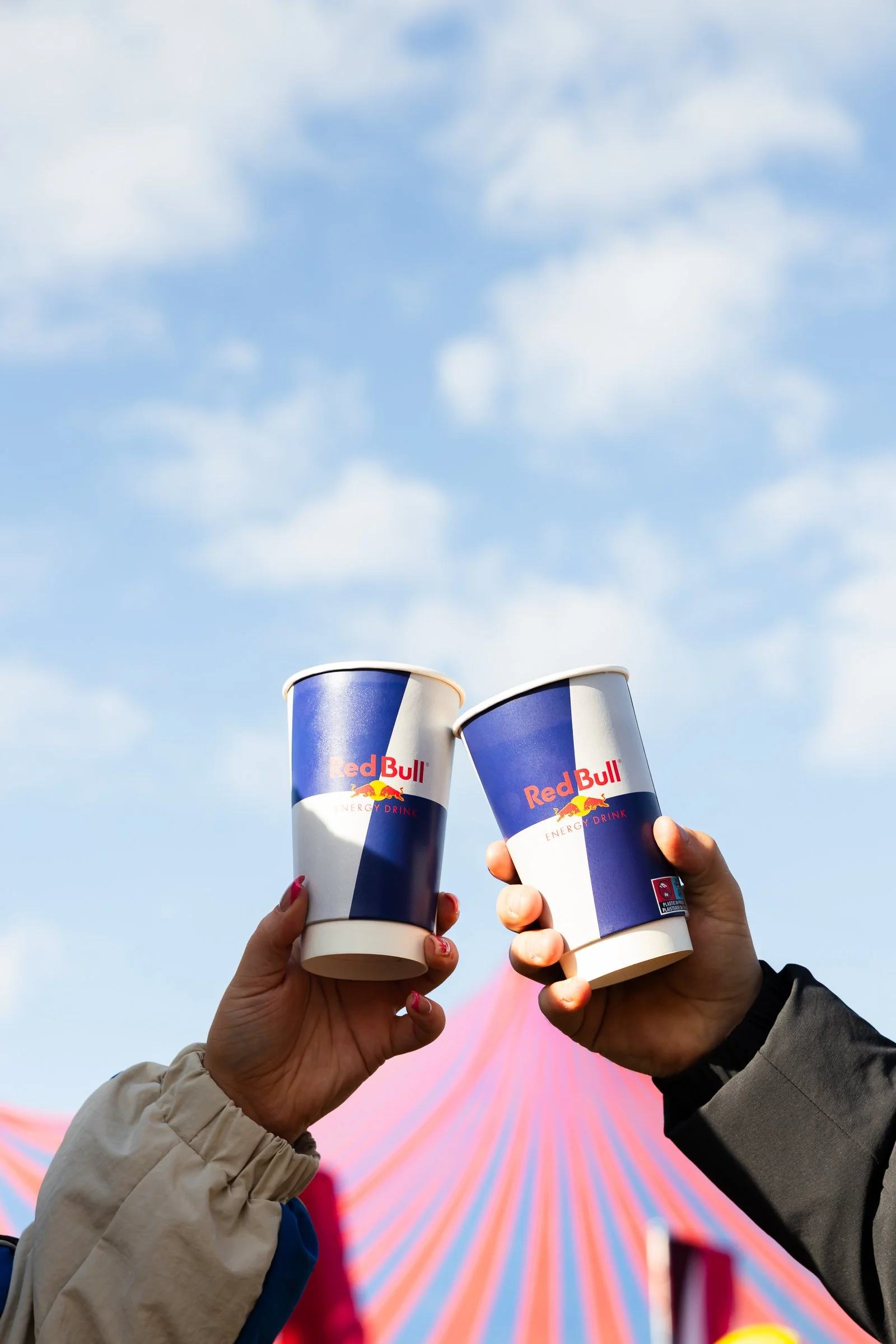 Redbull x Electric Picnic 2025- LOW RES-7.jpg
