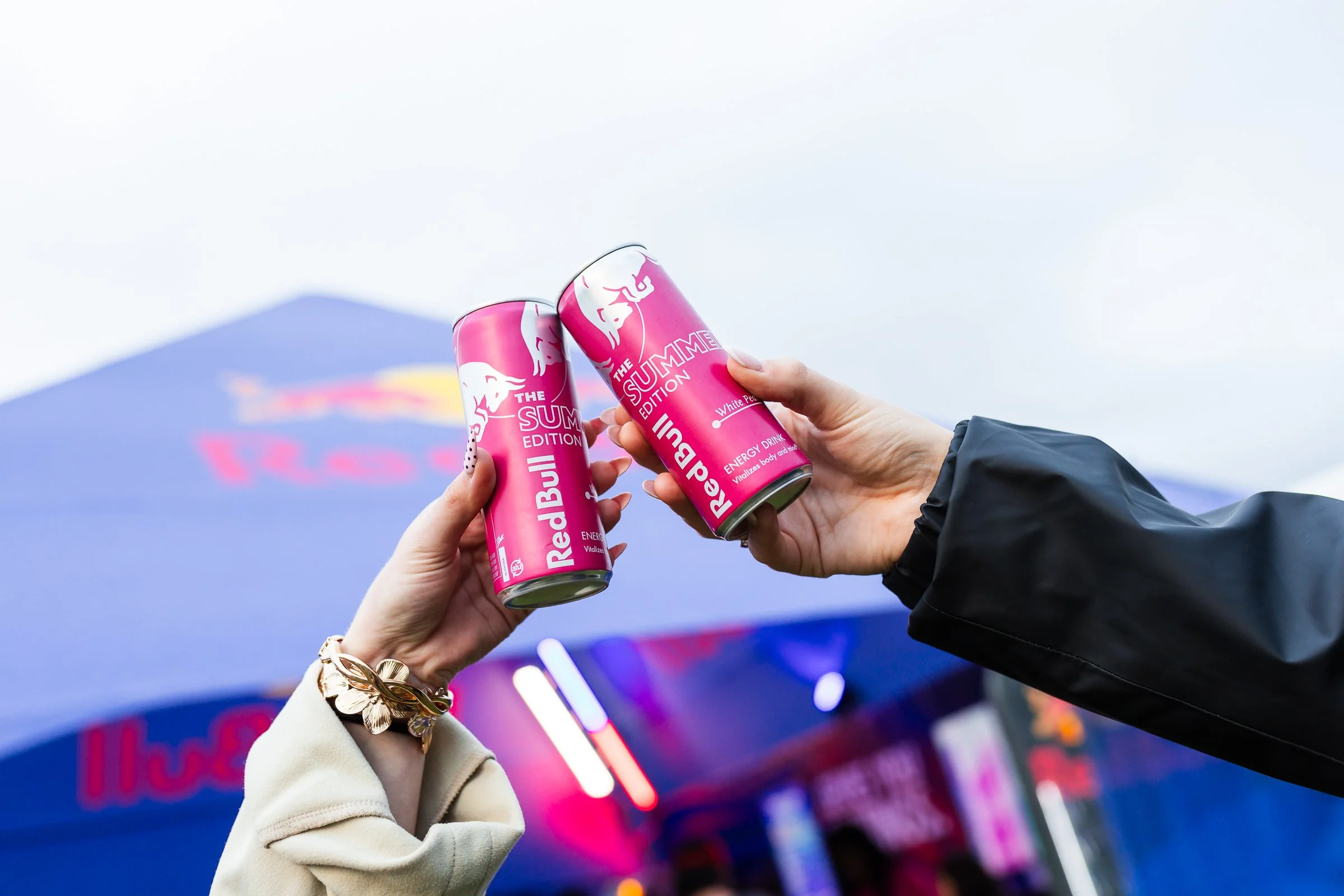 Redbull x Electric Picnic 2025- LOW RES-218.jpg