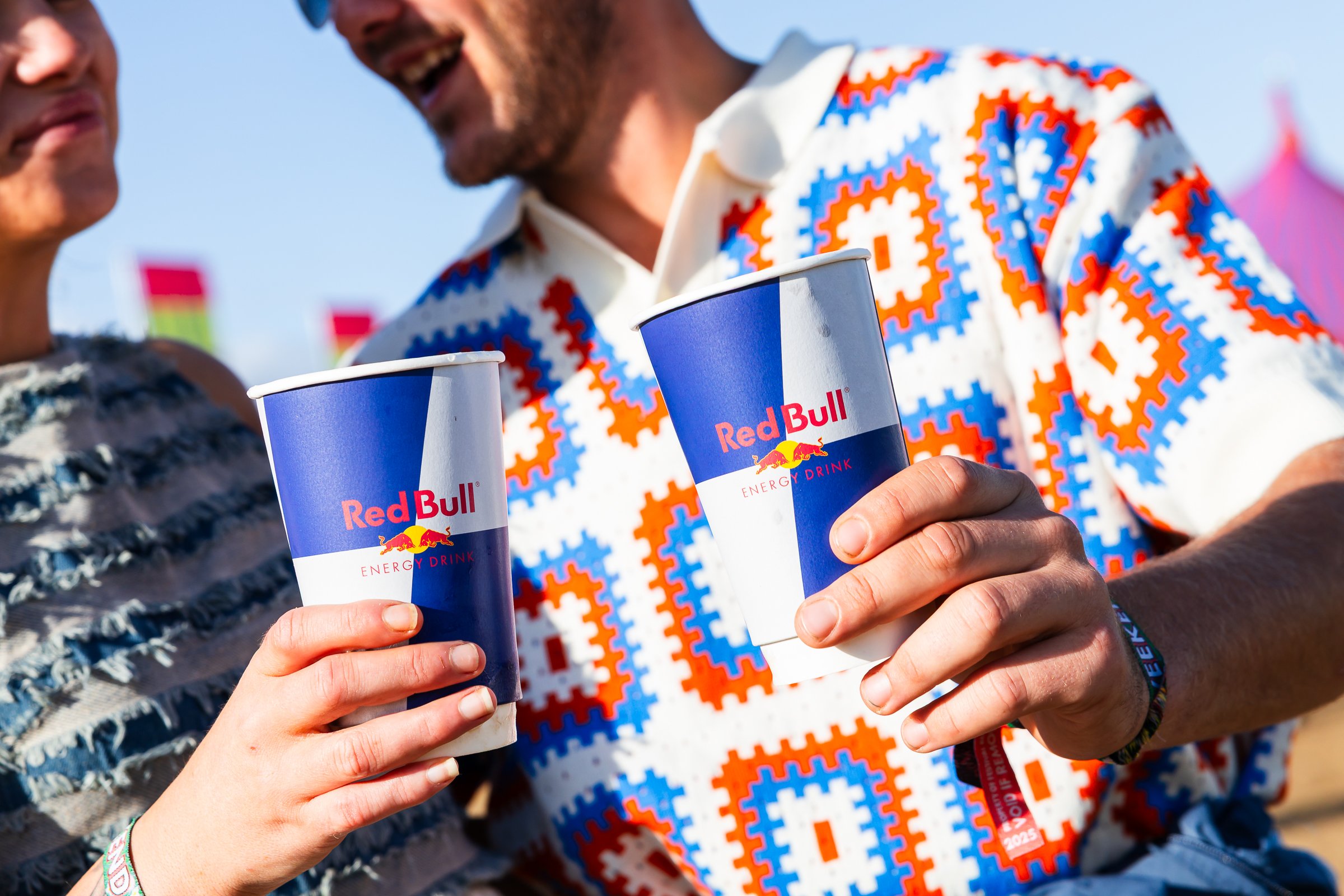 Redbull x Electric Picnic 2025- LOW RES-206.jpg