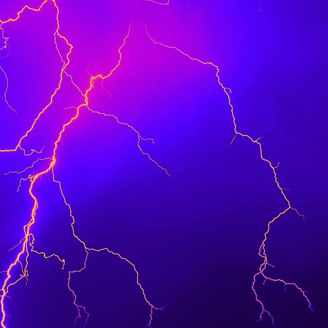 MOVEMENTS SET LIST 

Tropical Forest Sample
Pandemonium by Gaffaci
Trepa by Sueuga Kamau
Ponte Las Pilas by King Doudou
Shake by Wilhelmina
Crecimiento by INVT
Come Again by Mia Koden
Razzia by Banga
Amazonto by Gaffaci
Eau Coul&eacute;e Smart City b