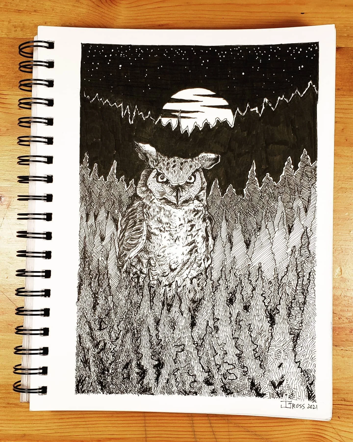 The most recently completed sketch in my "at work only" sketchbook.

#ink #pensketch #canadianartist #winnipegartist #penandink #penandpaper #nature #natureart #manitobaartist #crosshatching #crosshatchingart #blackandwhiteart #blackandwhit