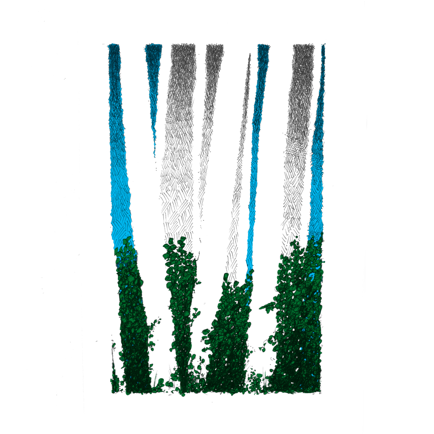 003 -The Forest - Colour.png