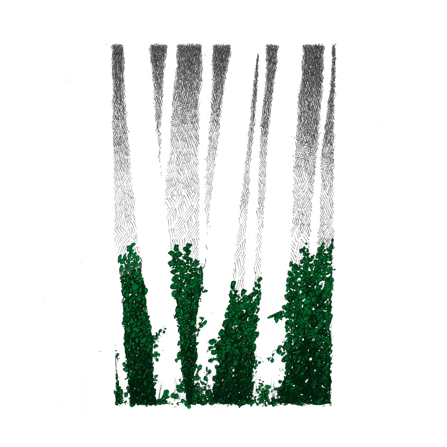 002 -The Forest - Colour.png