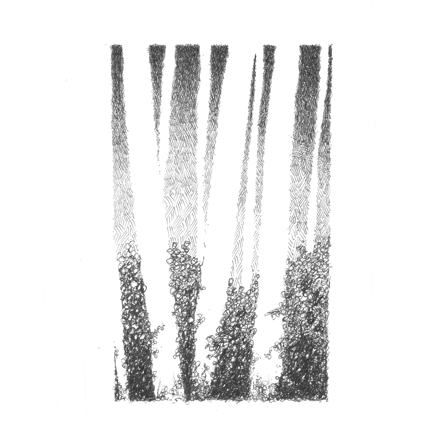 001-The Forest - Sketch.png