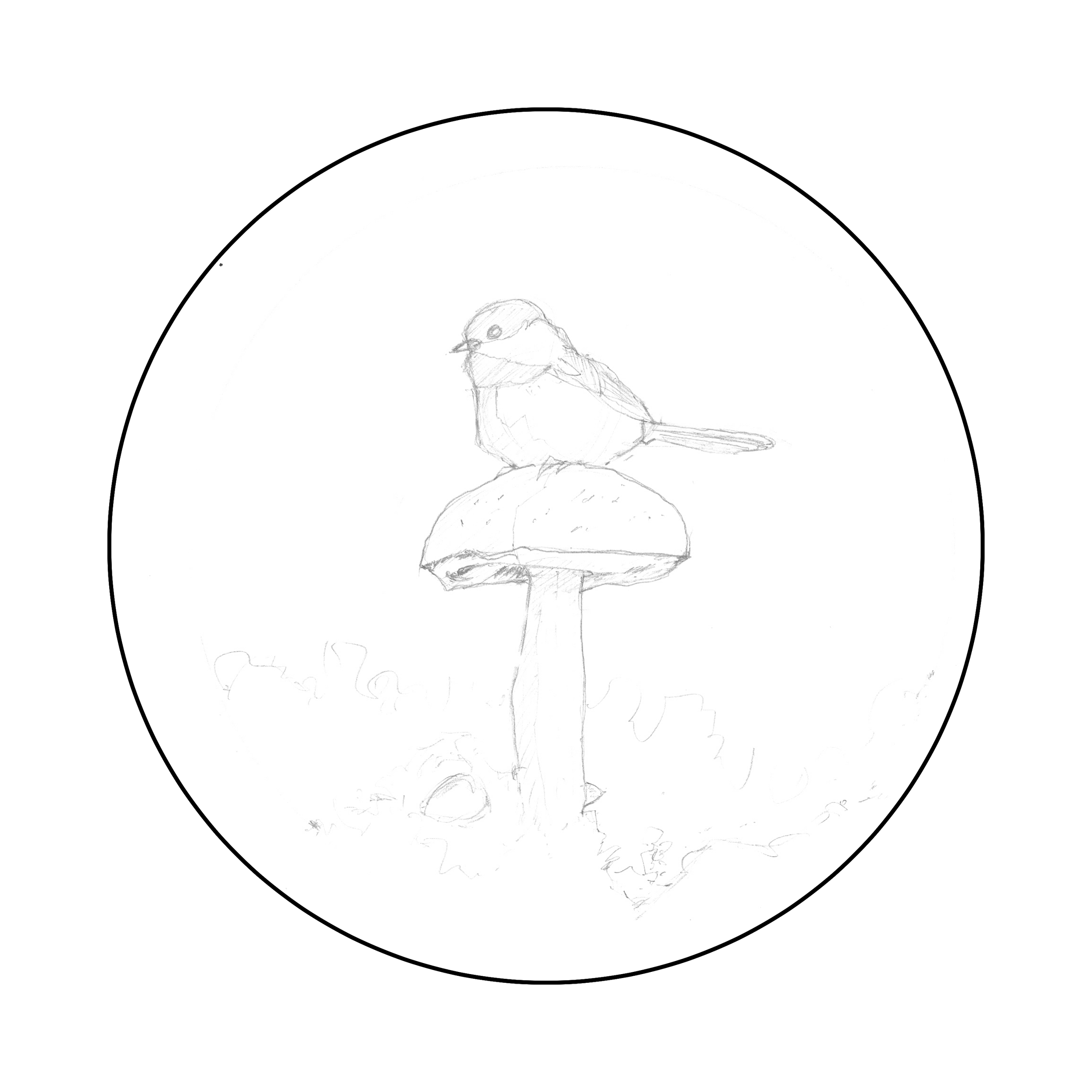 001 Early Bird 2026-002 - Sketch.png