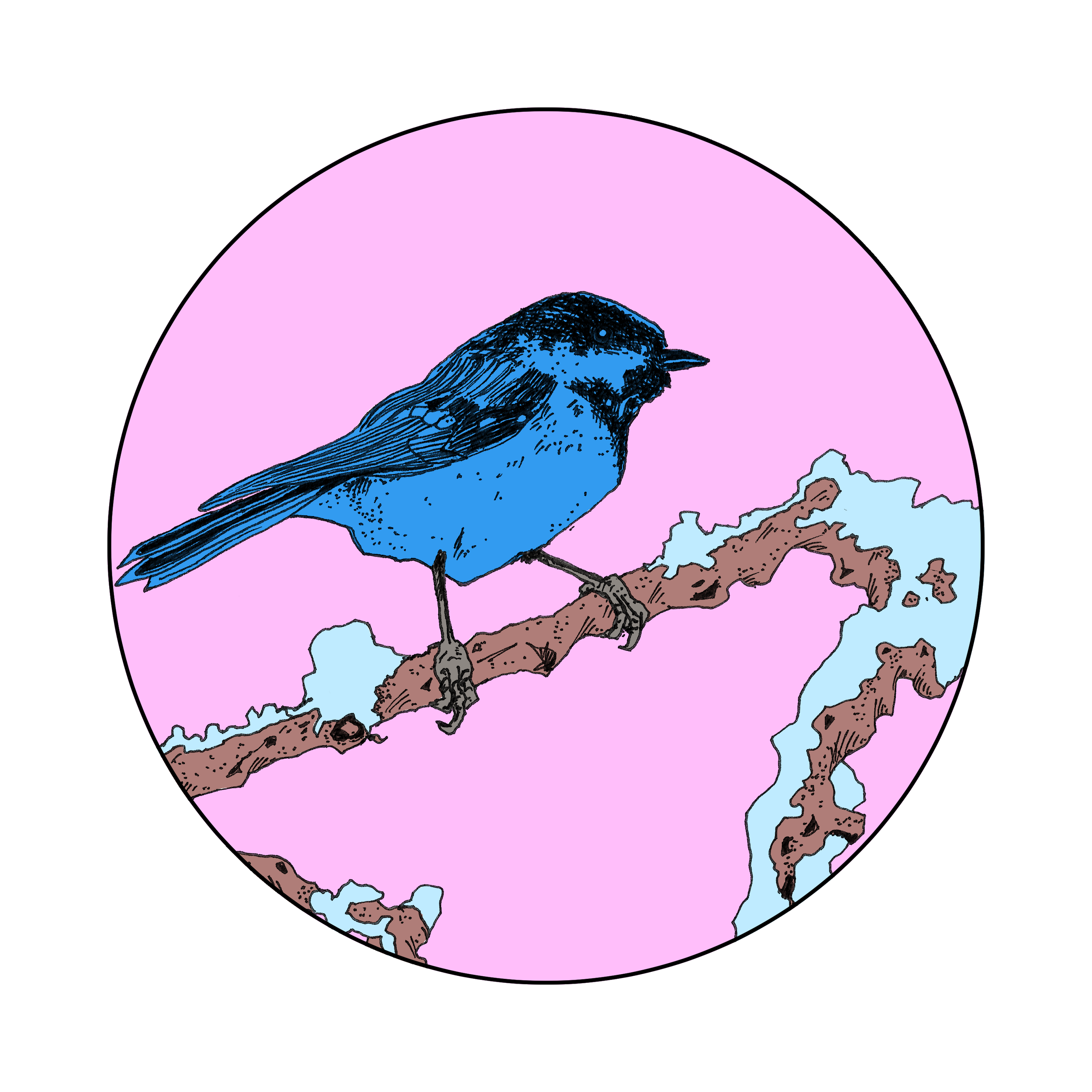002Chickadee.png