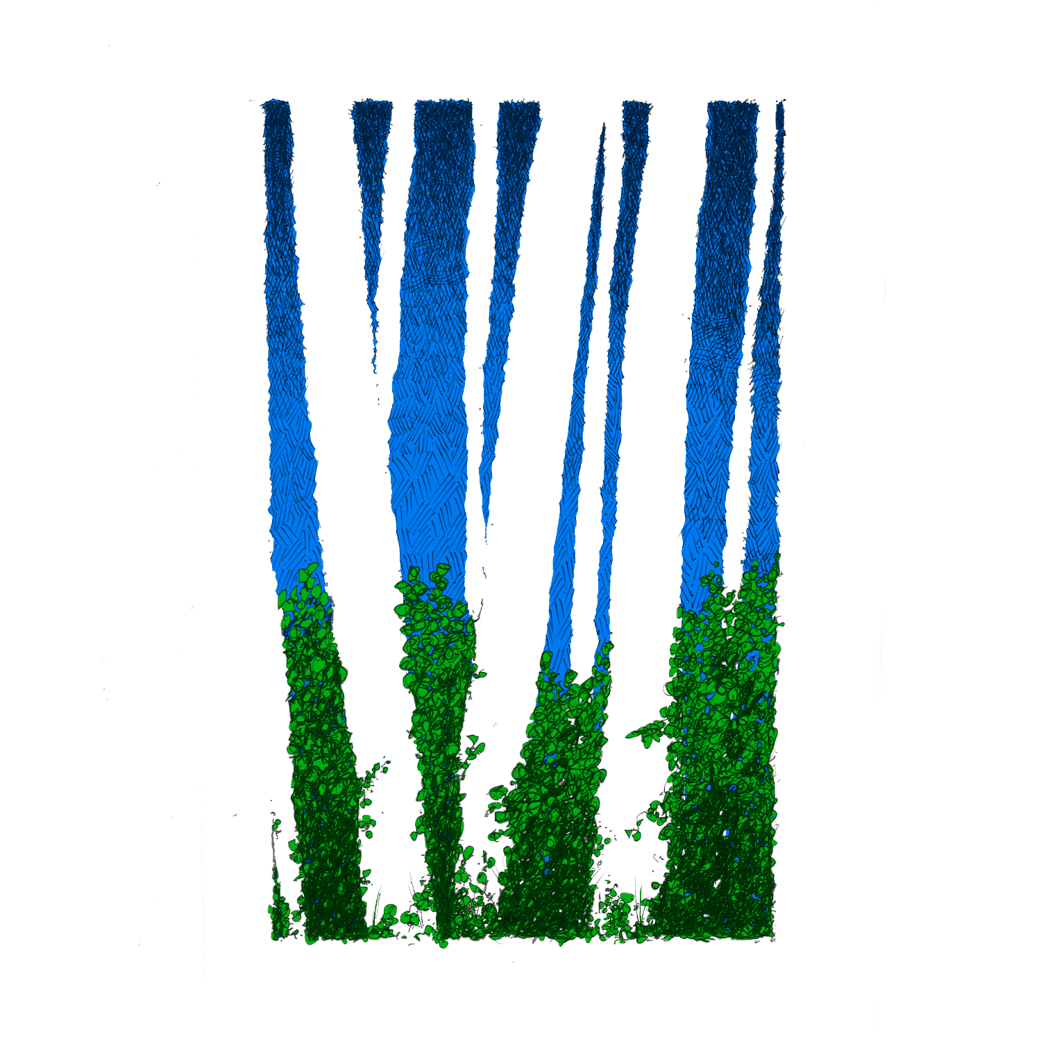 006 -The Forest - Colour - No Ink.png