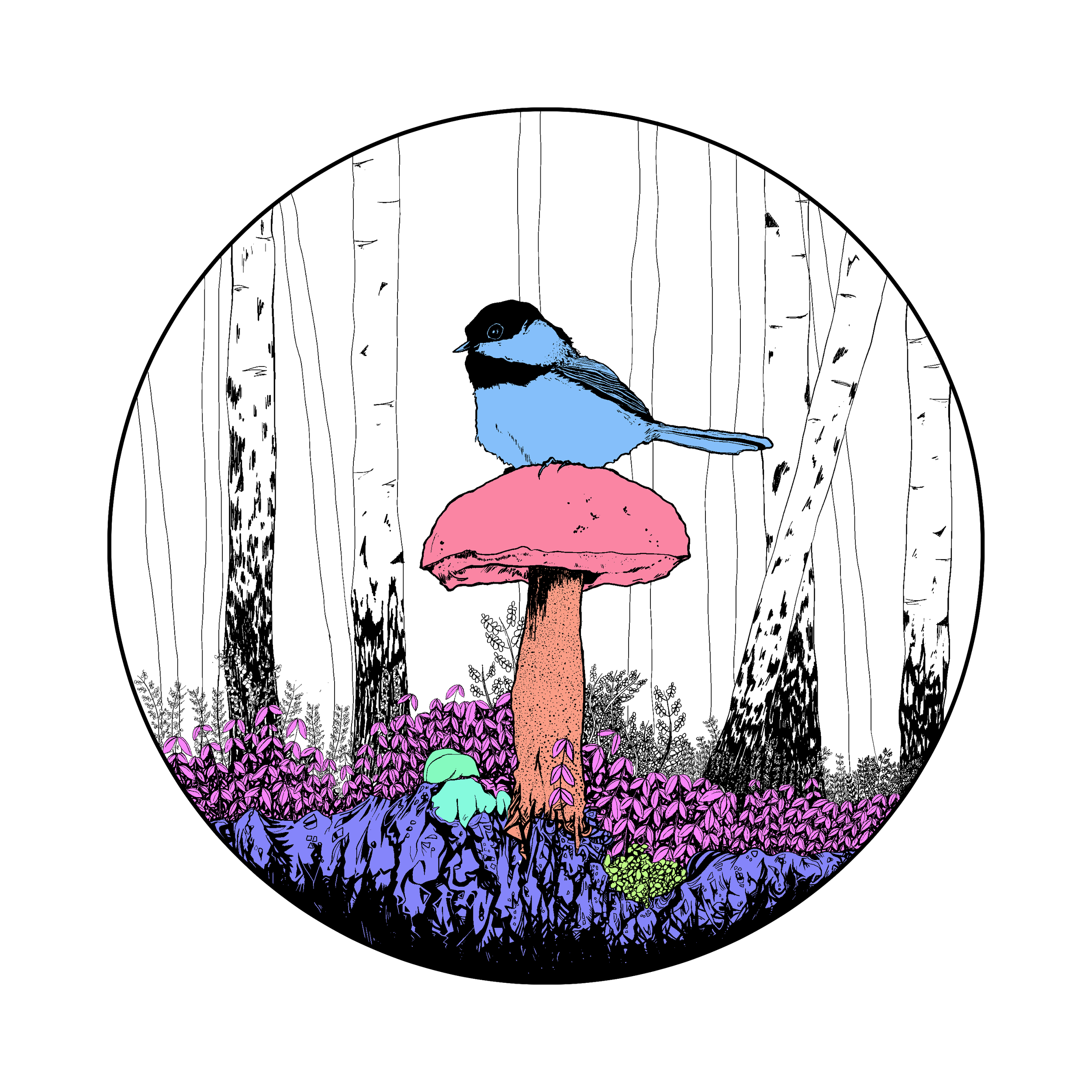 004 Early Bird 2026-002 - Colours.png