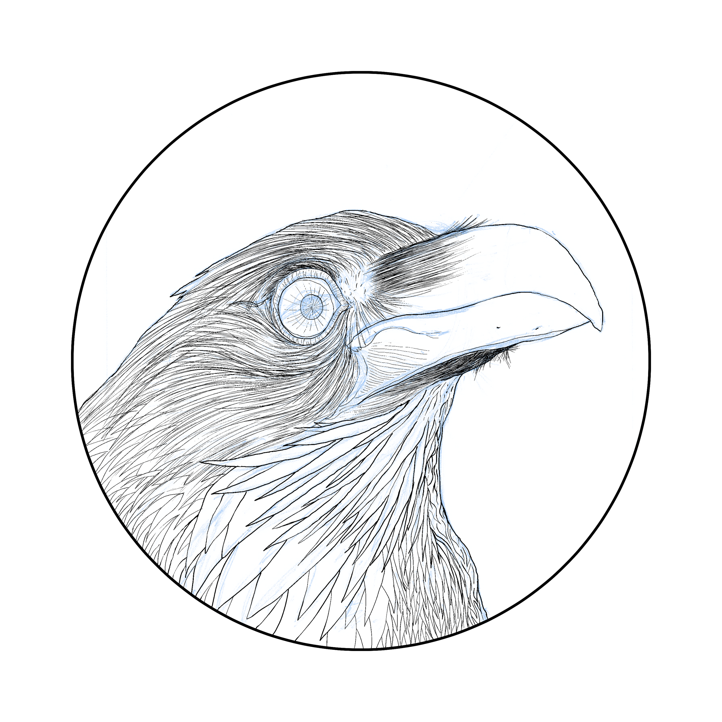 002 2006-003 Corvus Corax - Inks.png