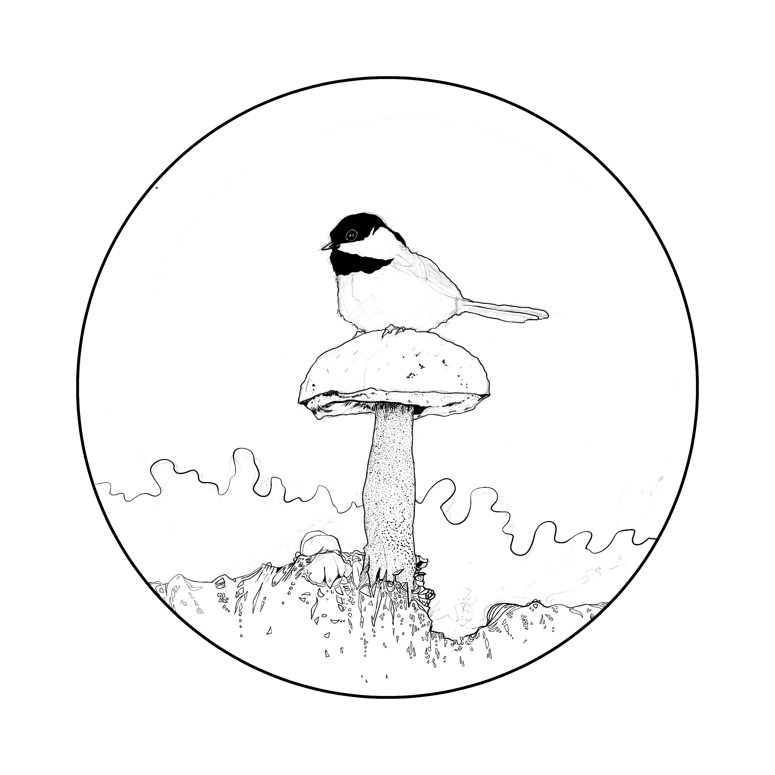 002 Early Bird 2026-002 - Inks.png