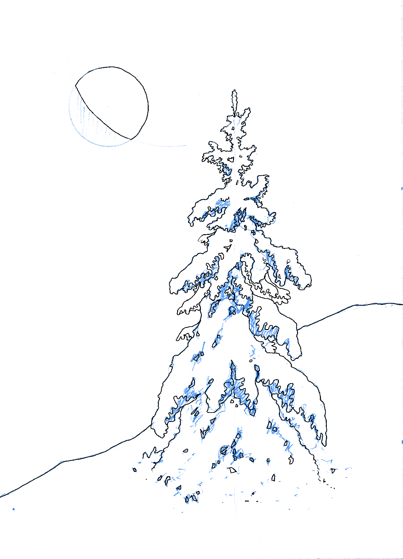 Evergreen at Night (2026-001) 002_Digital Inks.png