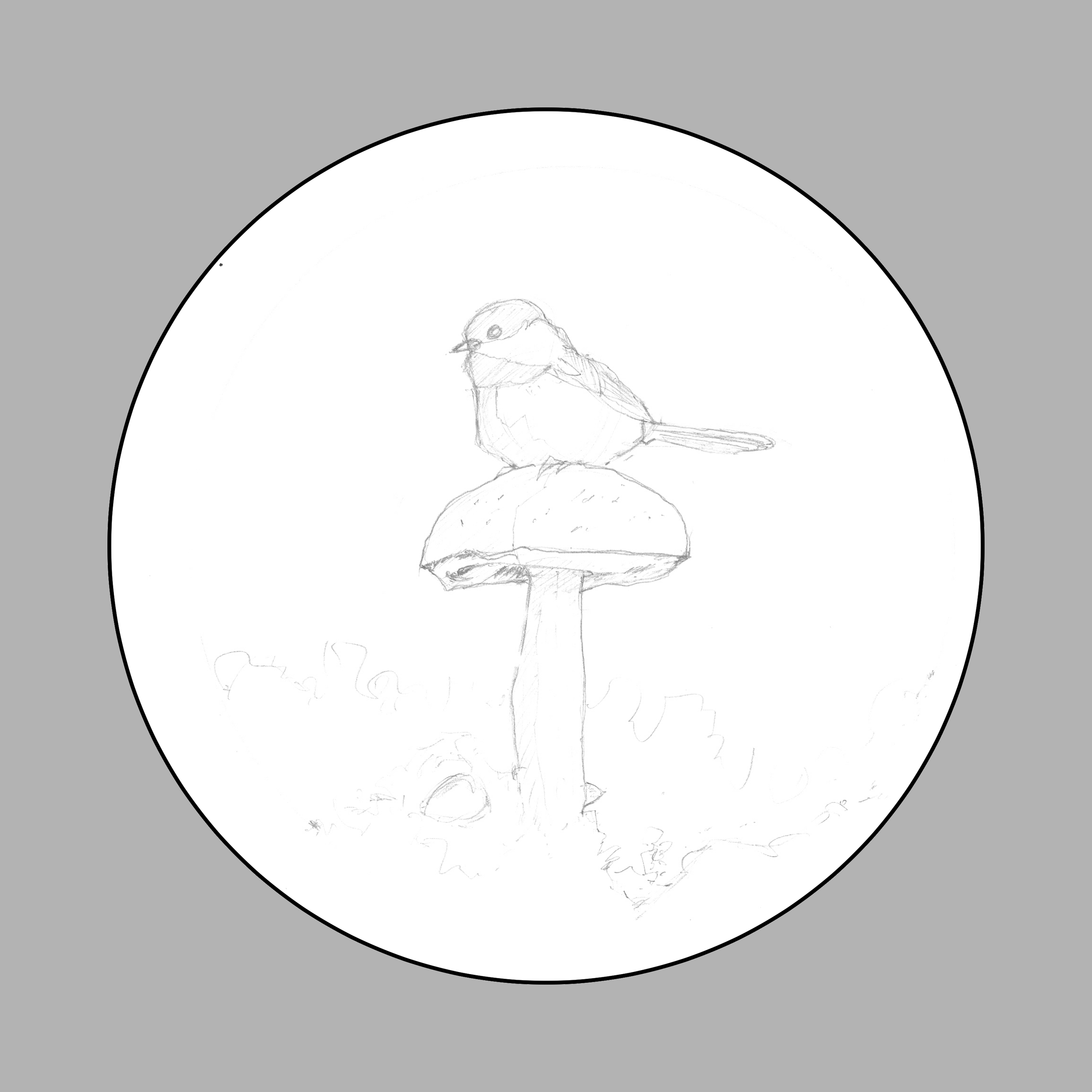 Currently In Progess