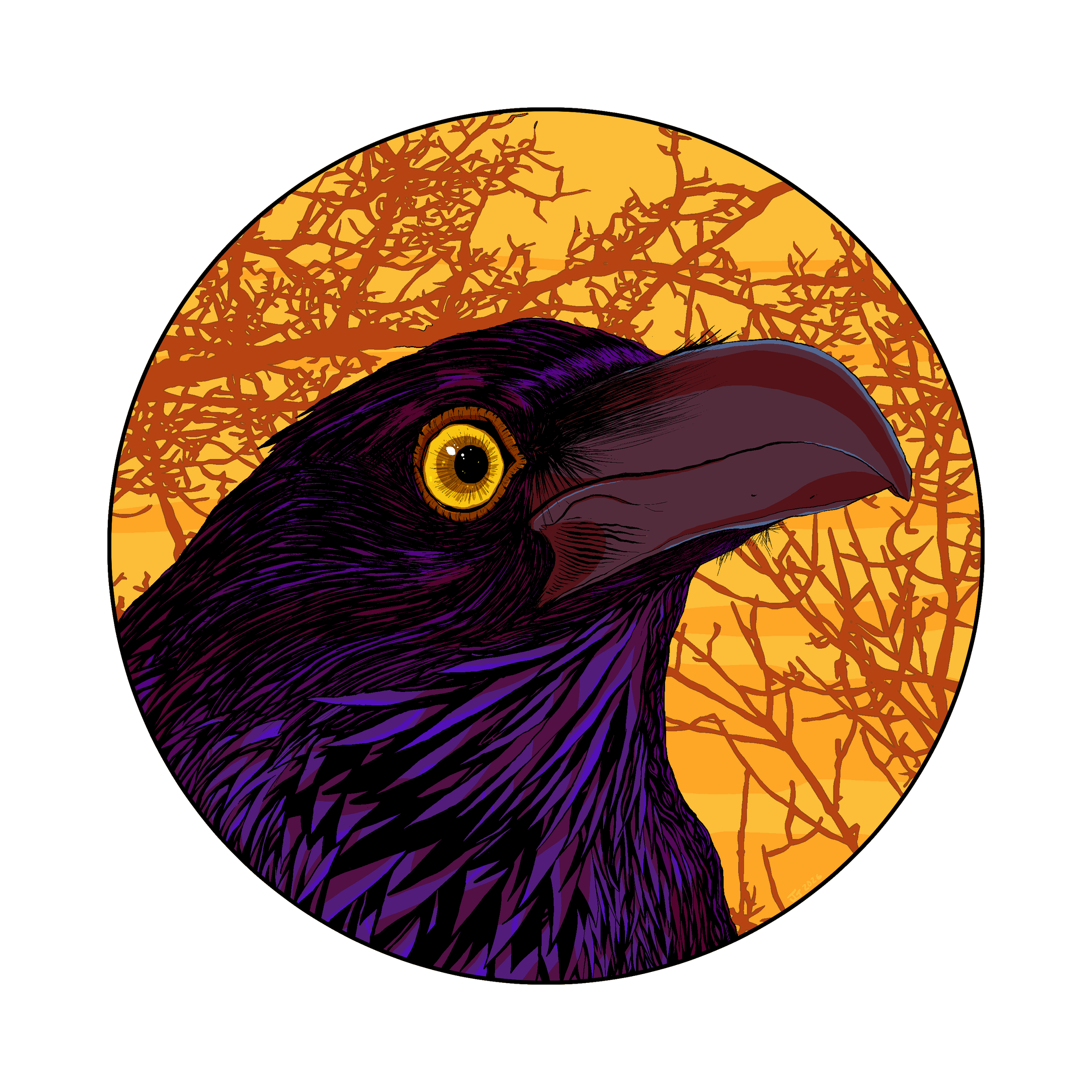 2006-003 Corvus Corax (Final).png
