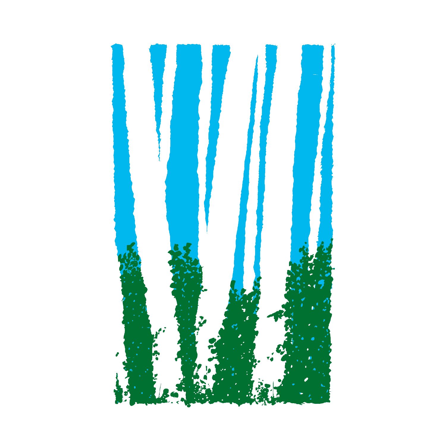 005 -The Forest - Colour - No Ink.png