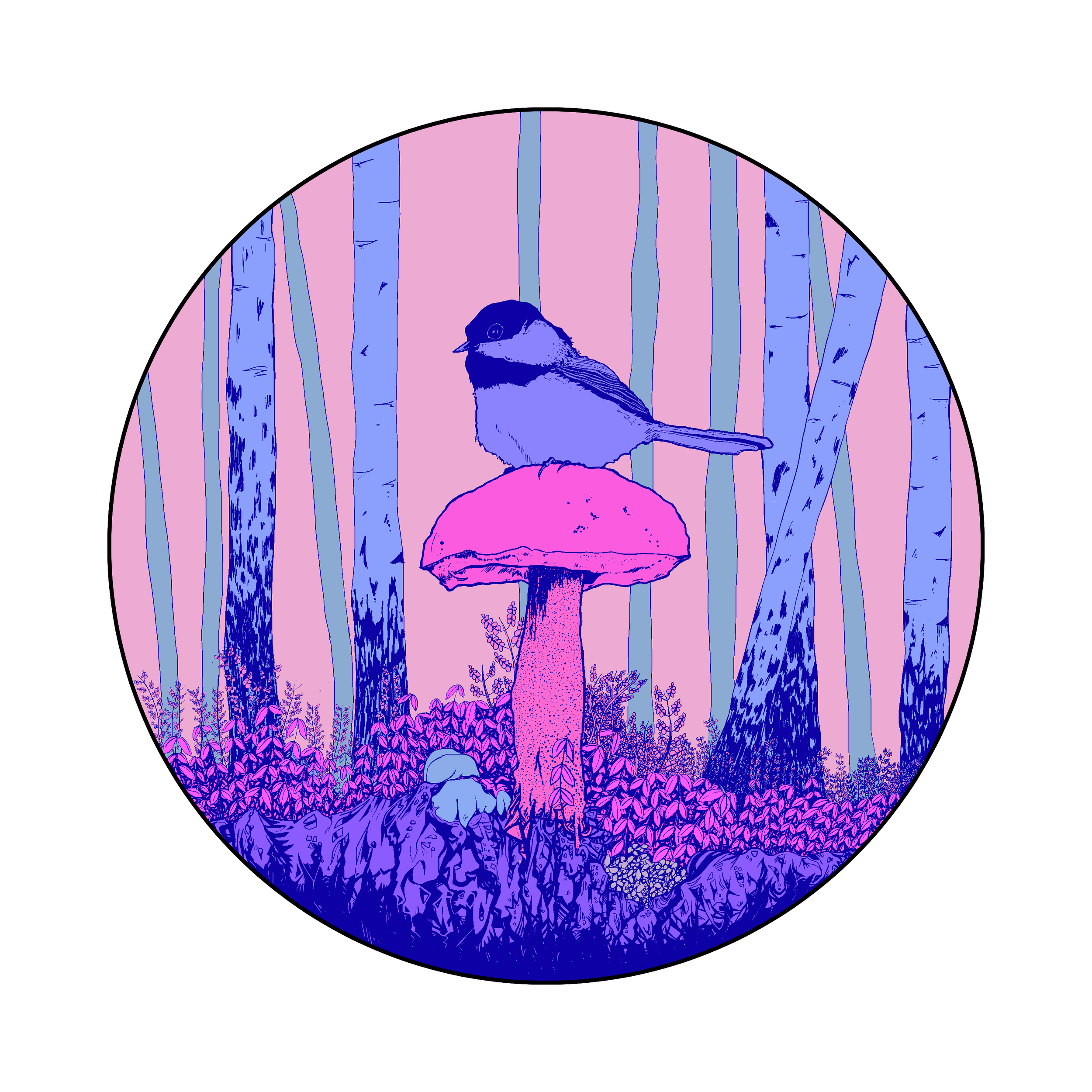 006 Early Bird 2026-002 - Colours.png