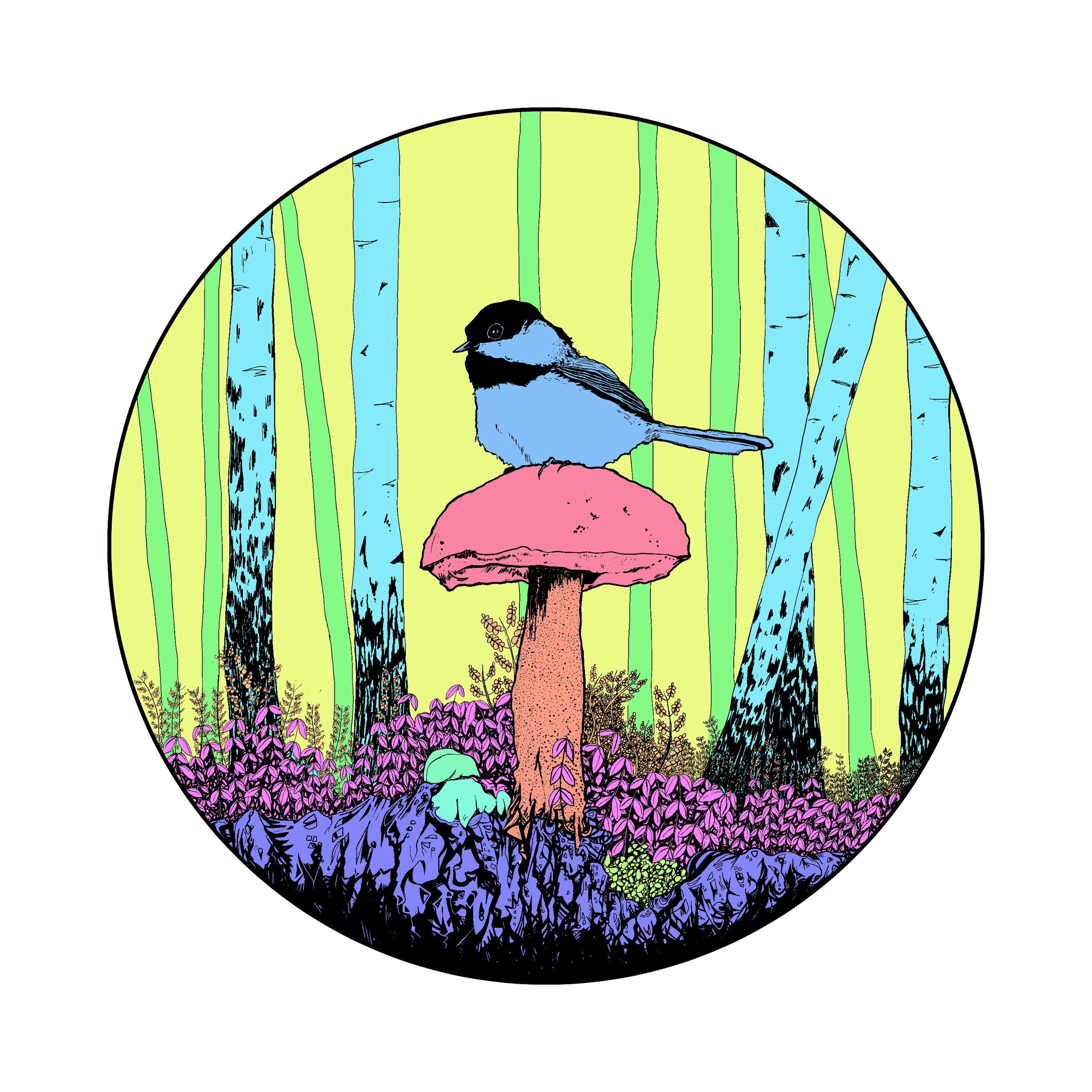 005 Early Bird 2026-002 - Colours.png