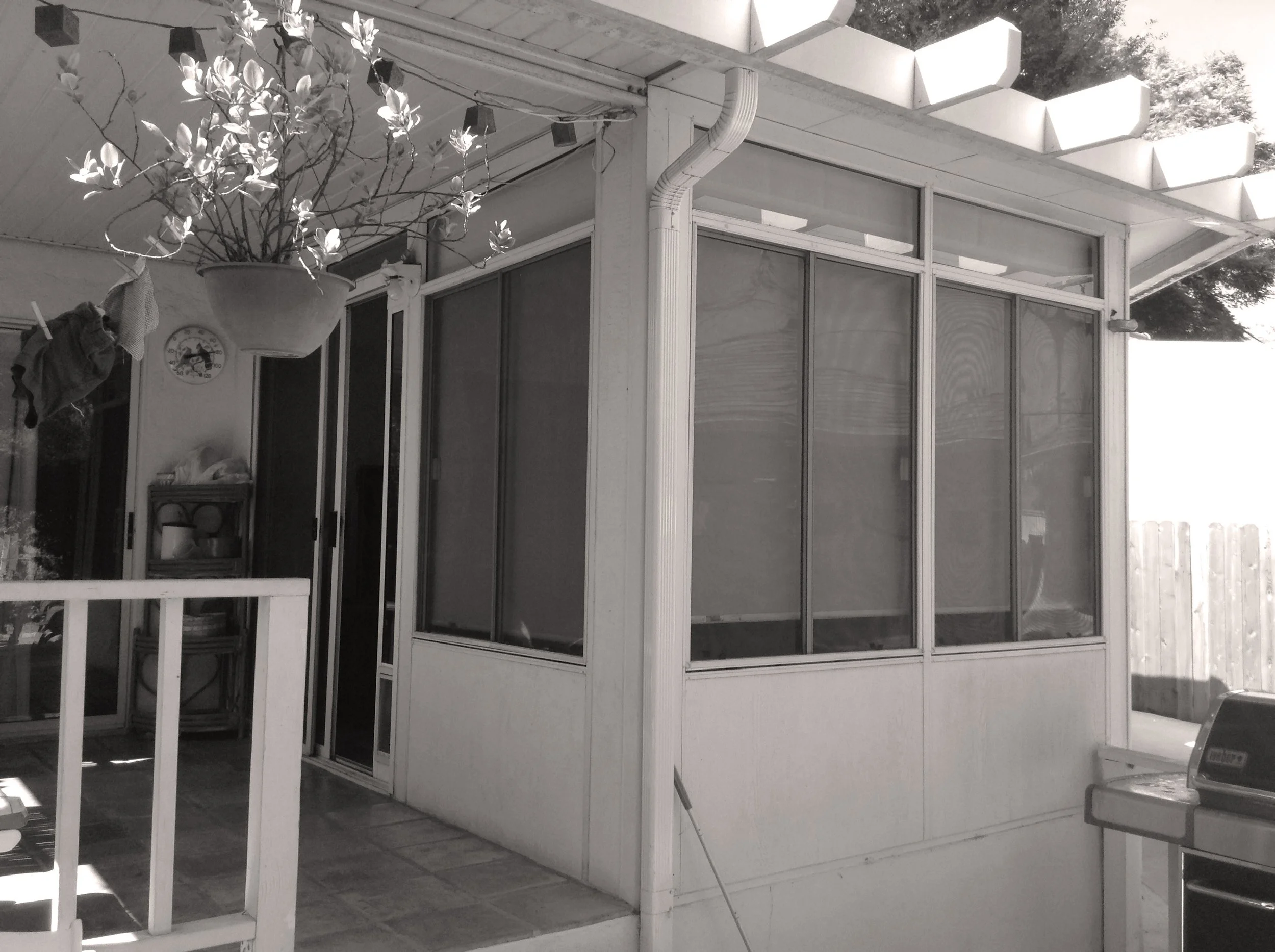Black and white photo of a backyard patio area with a screened-in porch, potted plant hanging from the ceiling, a small shelving unit with dishes, and a grill on the right side.