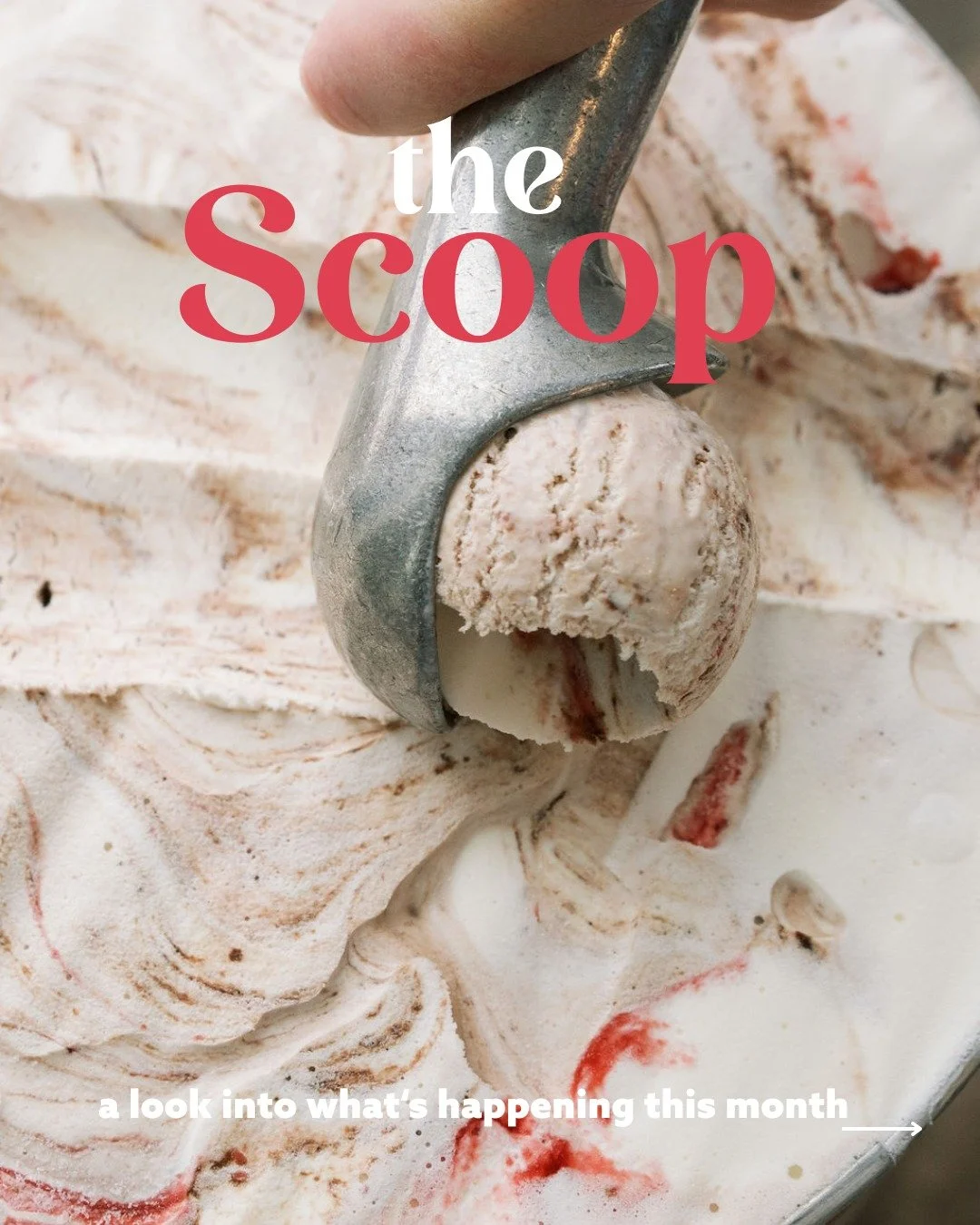 The Scoop is here 💘🍨

February tastes like this. 🍓🍫
&bull; Valentine&rsquo;s Flavor: Chocolate-Covered Strawberry (rich chocolate + fresh strawberry swirls)
&bull; Valentine&rsquo;s Day Ice Cream Sandwiches: strawberry or chocolate
&bull; Limited