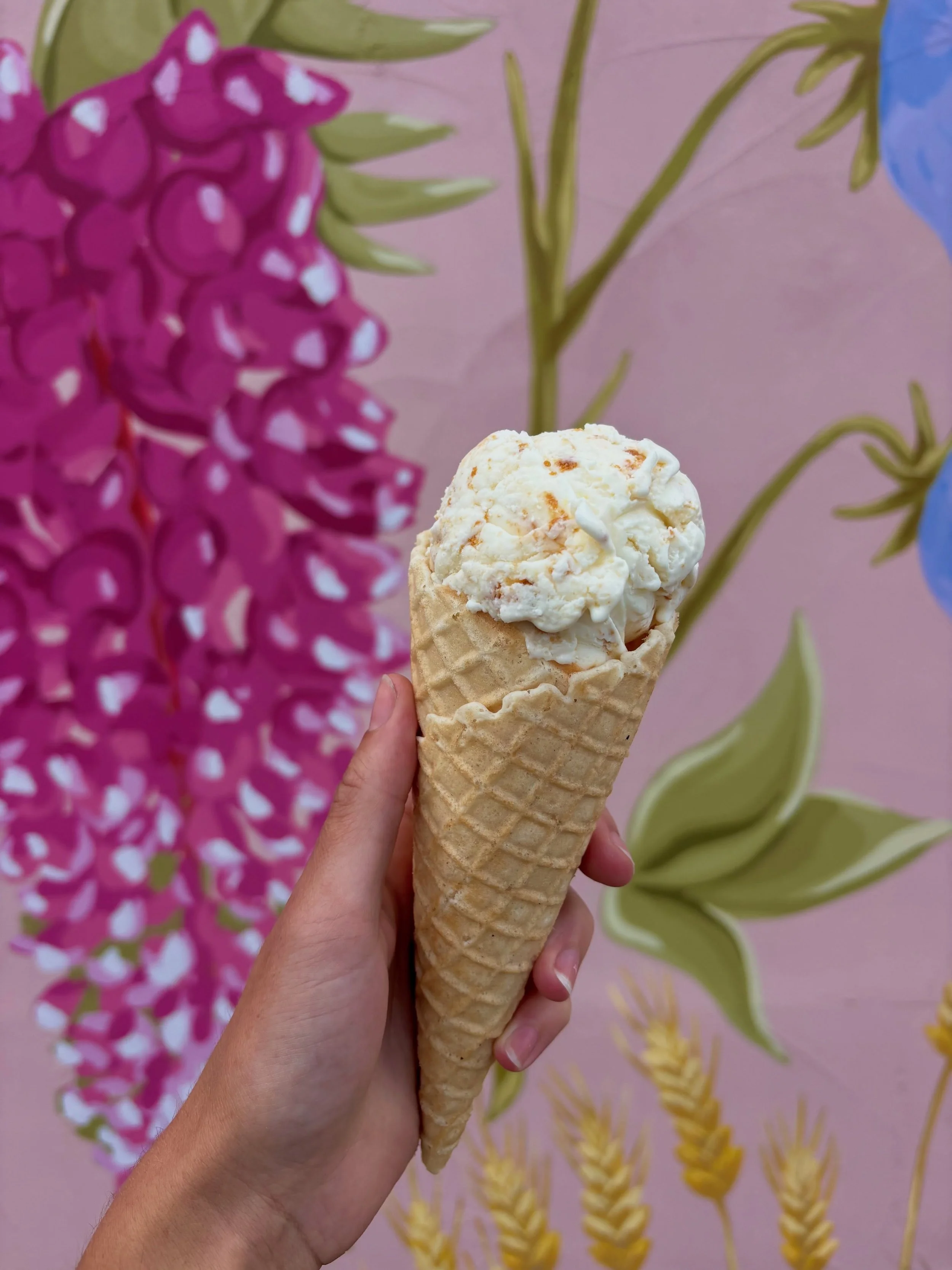 Celebrating these last few days of summer with Lemon Biscoff ice cream 🍋 🍋 this one goes fast, come get a scoop 🥰🥰