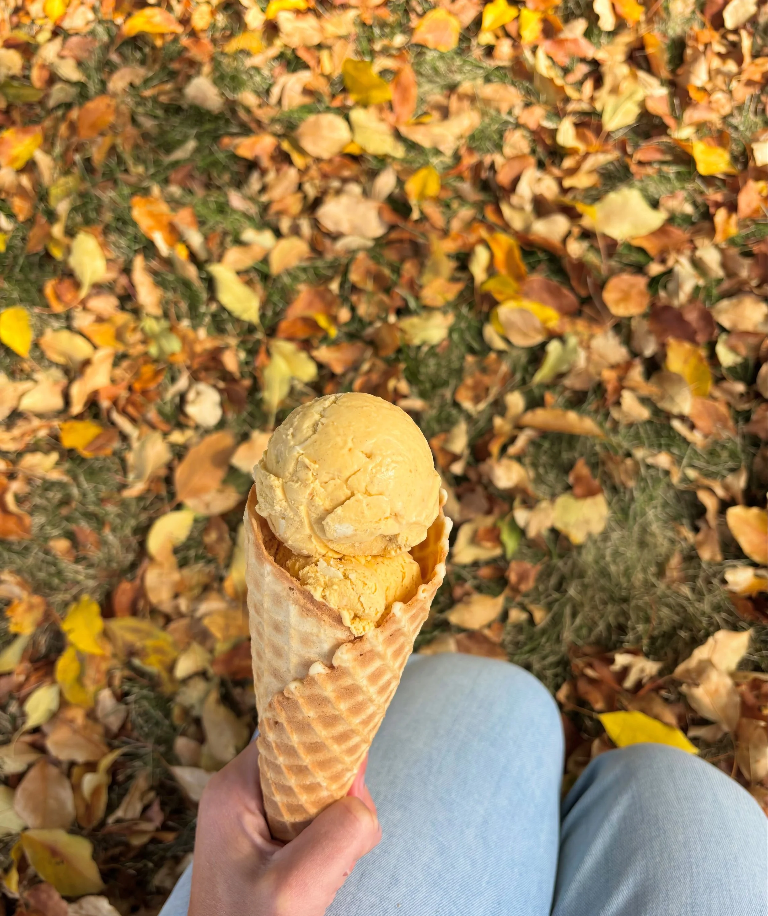 ✨ Happy fall!! 🍁🍁 we are now scooping PUMPKIN ice cream, a true October-exclusive 💅💫🎃 Pumpkin Cheesecake and Pumpkin Chip added to the rotation today. See yall at the shop 😋