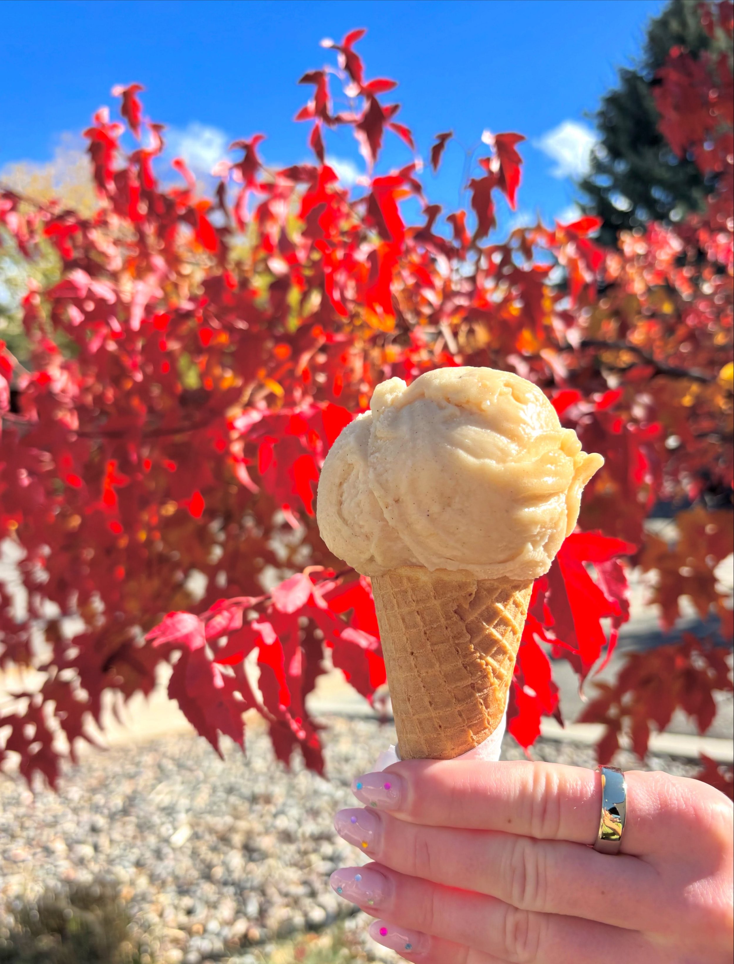 Now scooping ✨apple cider sorbet✨ at Genuine 🍎🍏😋