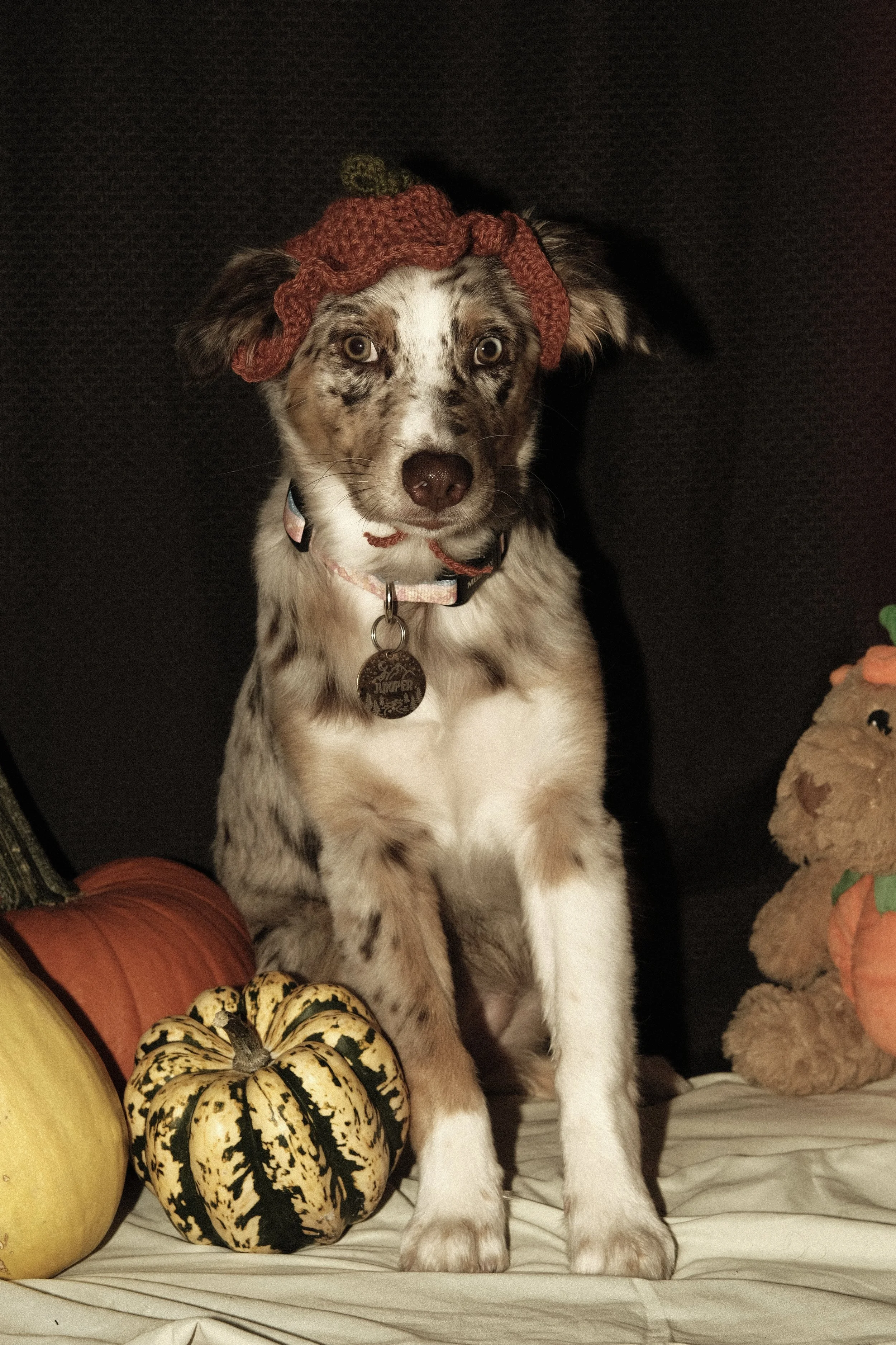 DSCF1159.jpg