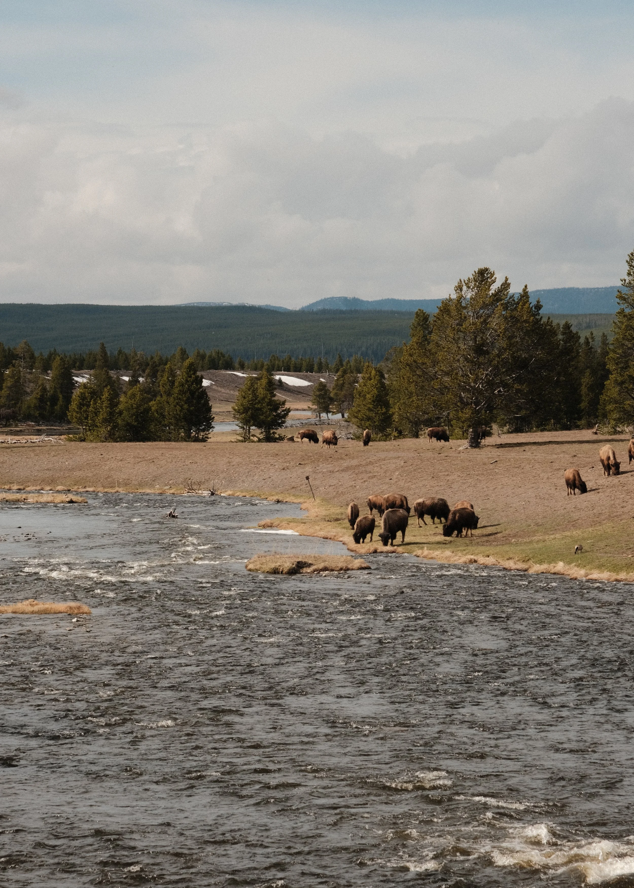 DSCF0931.jpg
