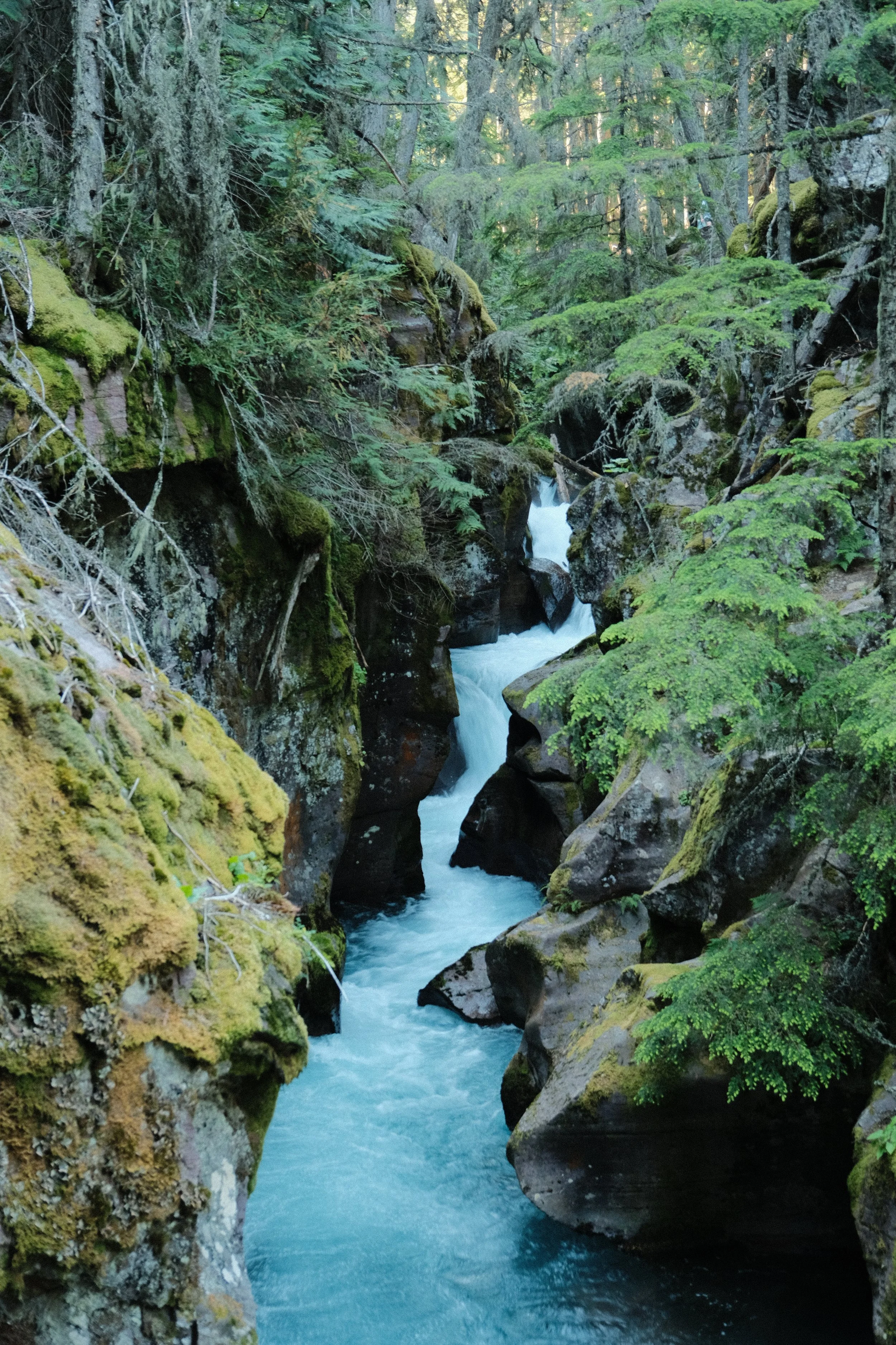DSCF1059.jpg