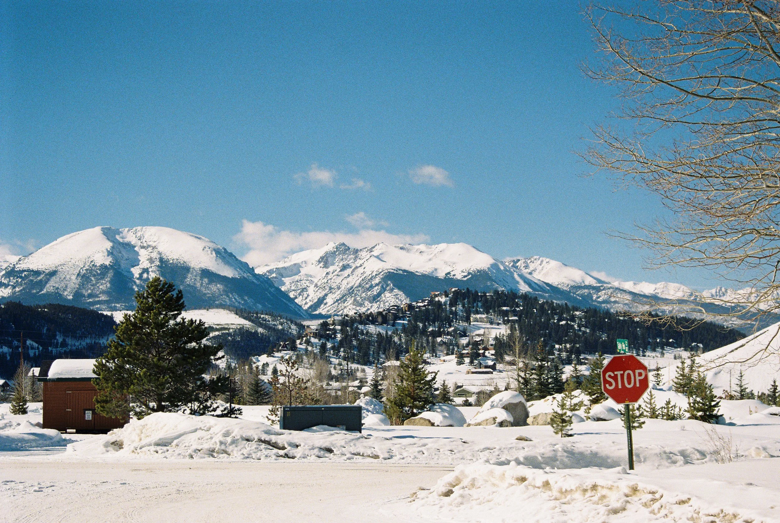 Nikon N5005 Kodak Portra 400