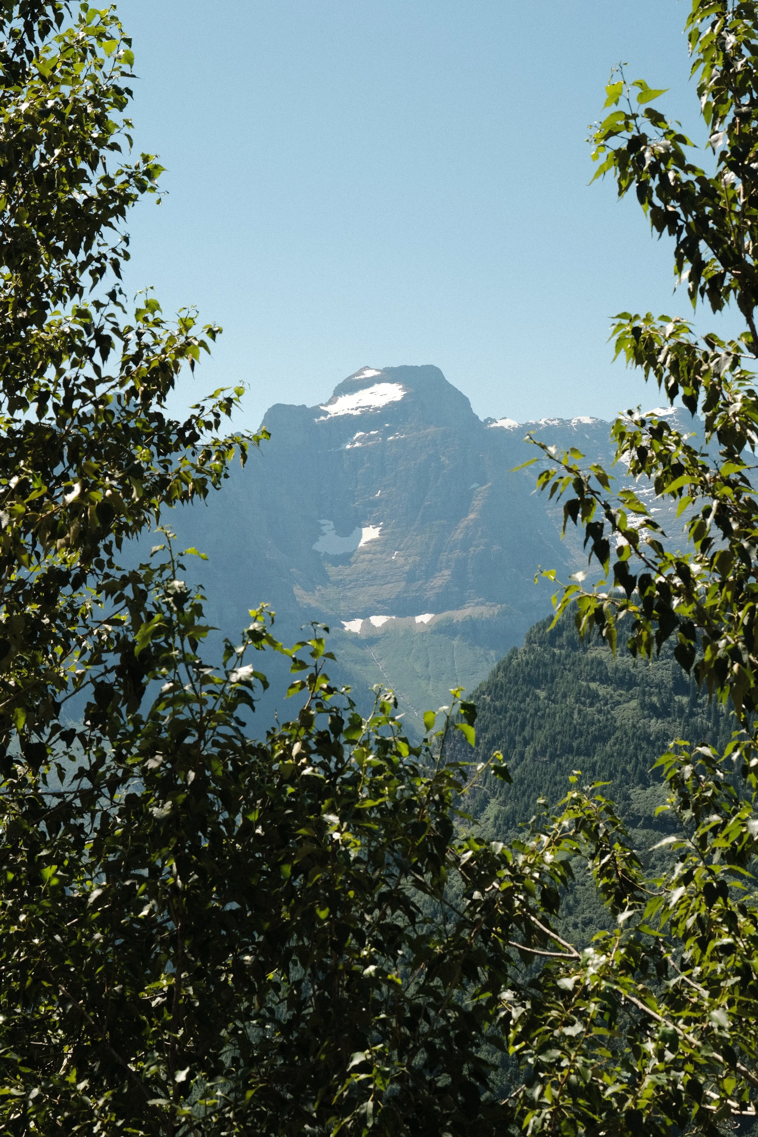 DSCF1047.jpg