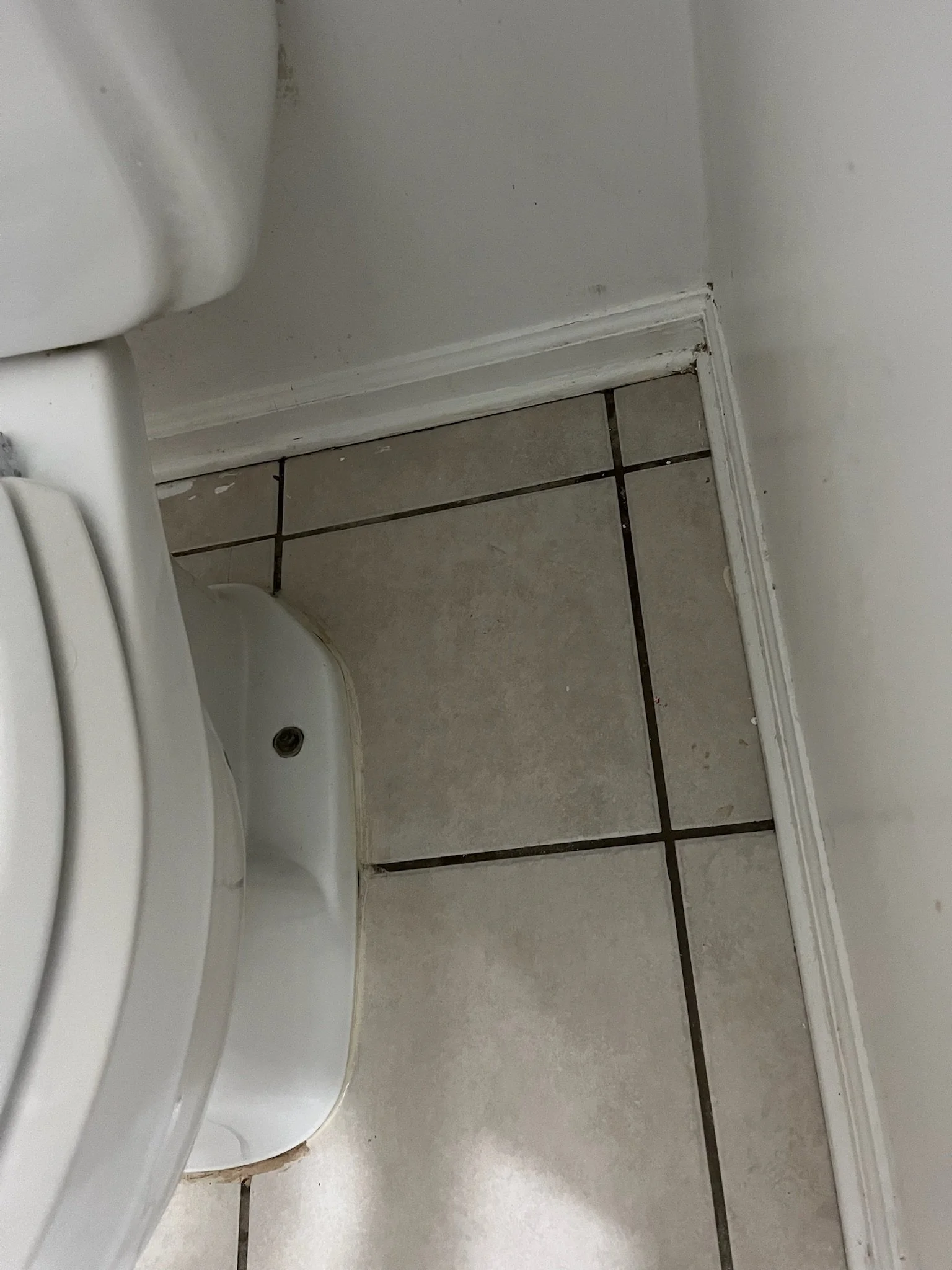 Toilet Clean After 