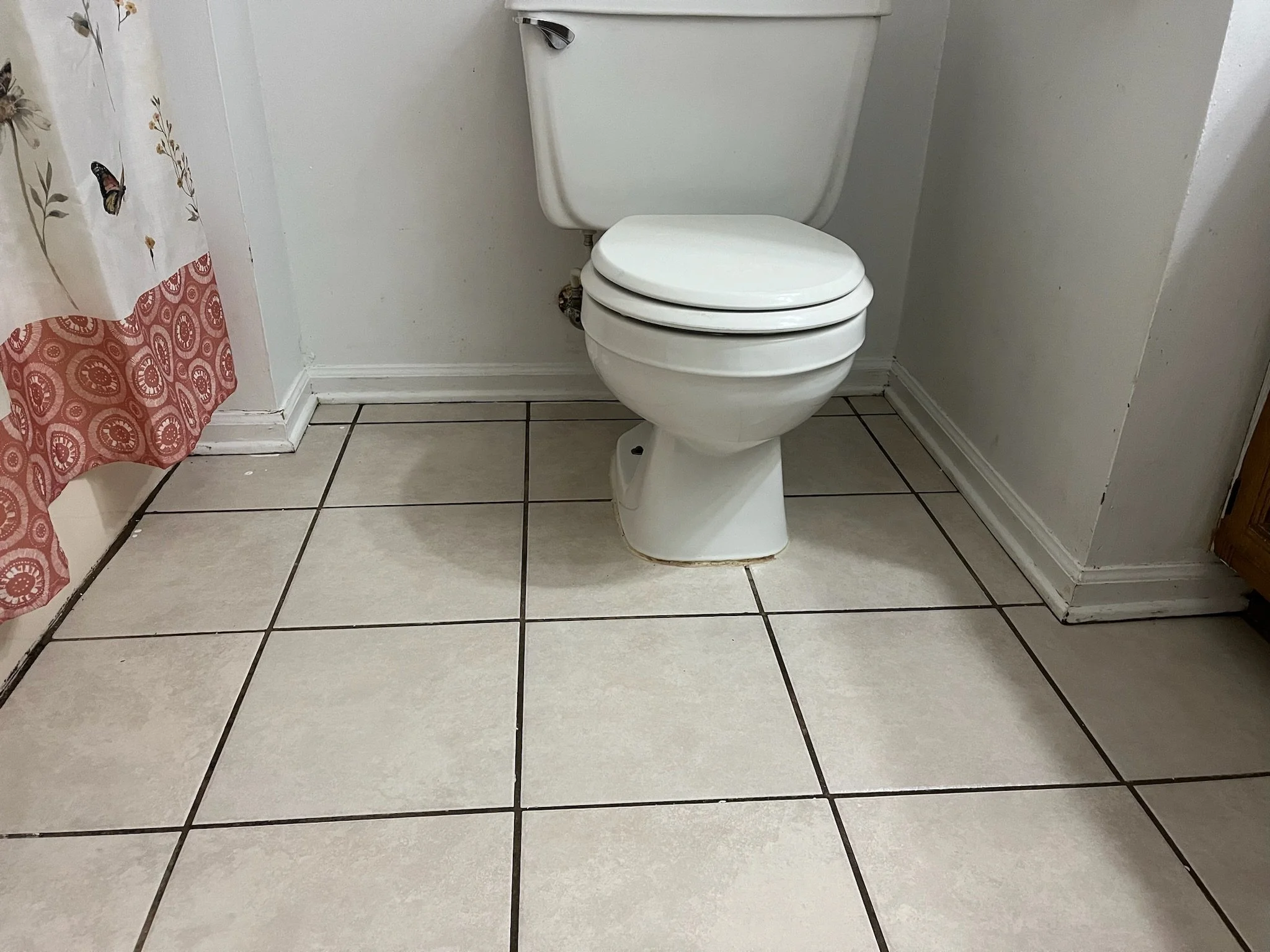 Toilet Clean After 