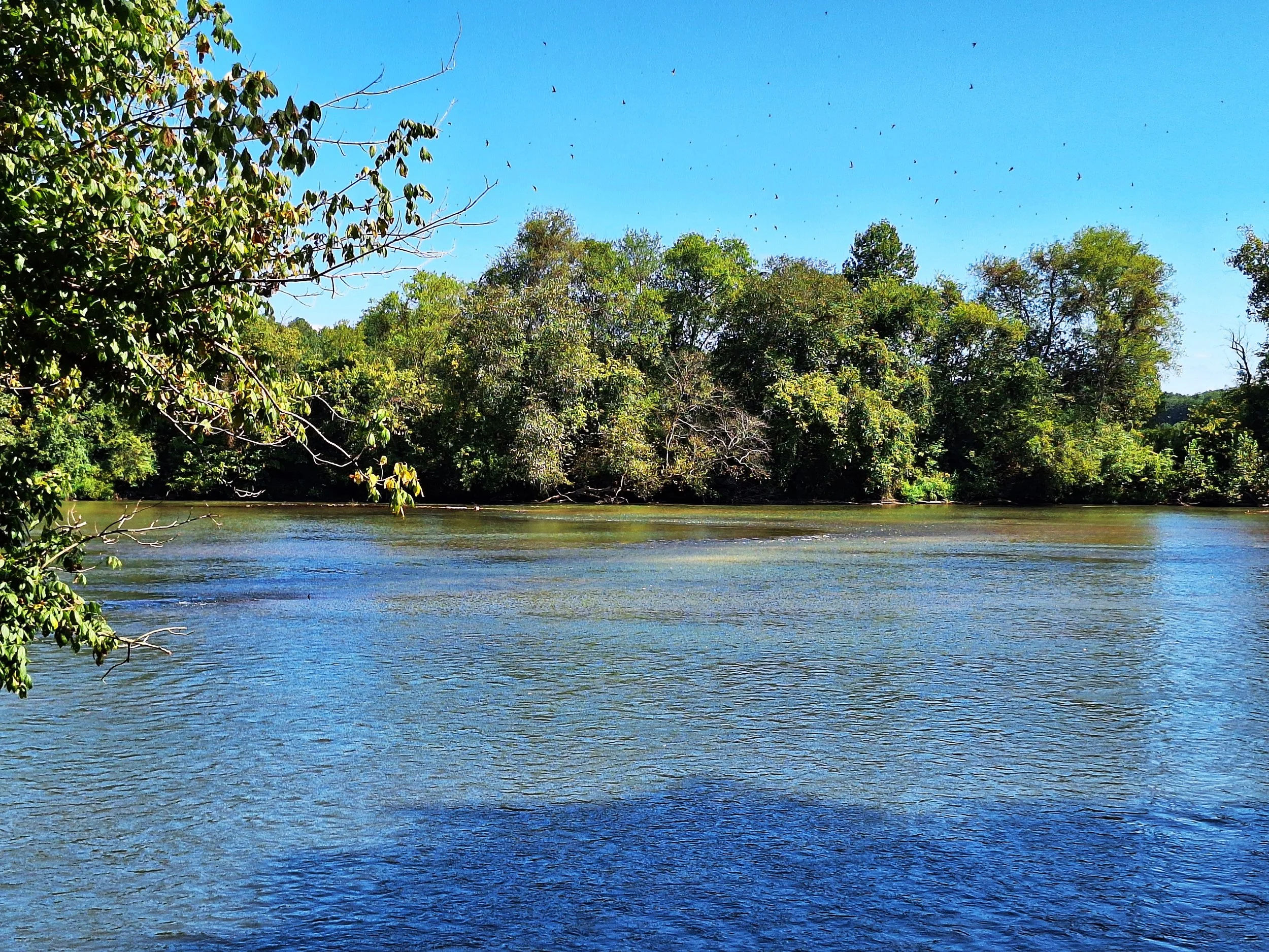 Shallow Ford. Photo by R A Crum