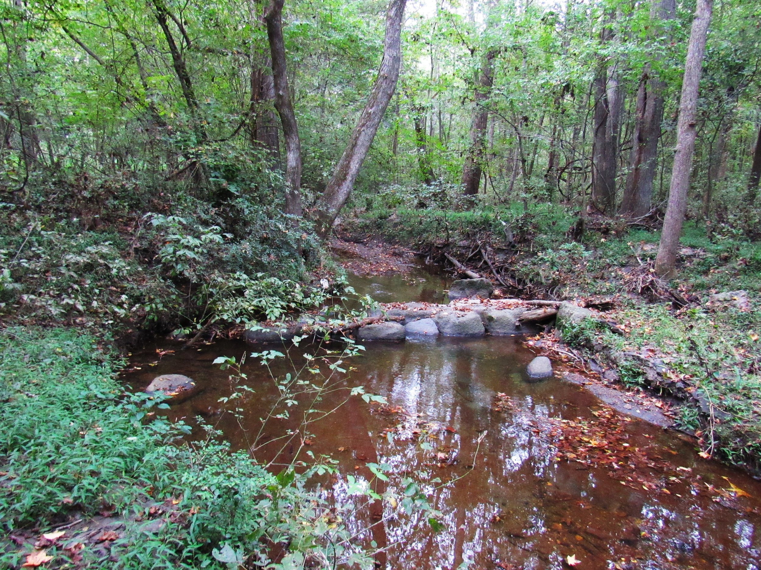 Sugar Tree Creek Boone Homesite. Photo by RA Crum