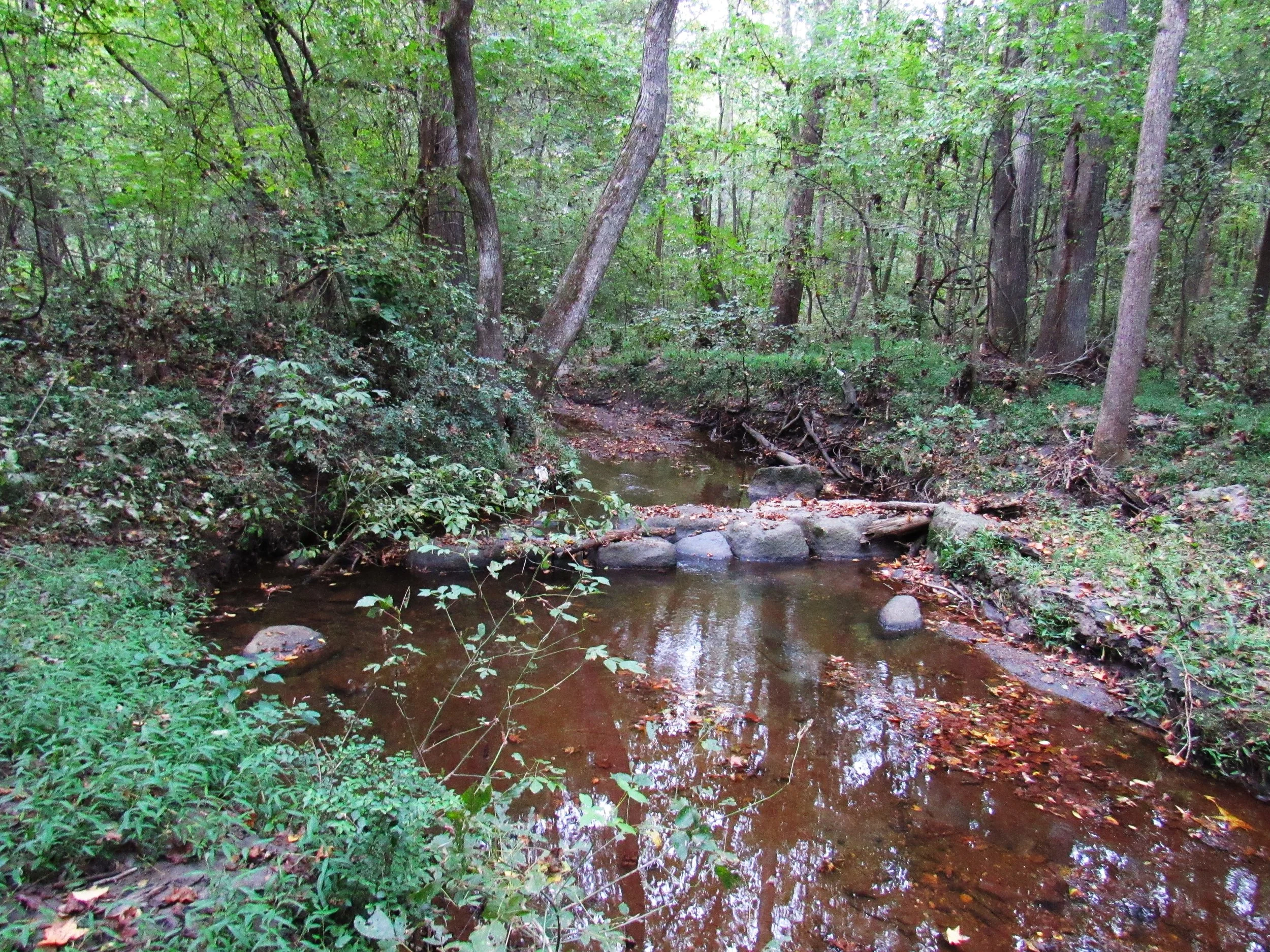 Sugartree Creek in NC - Photo by RA Crum