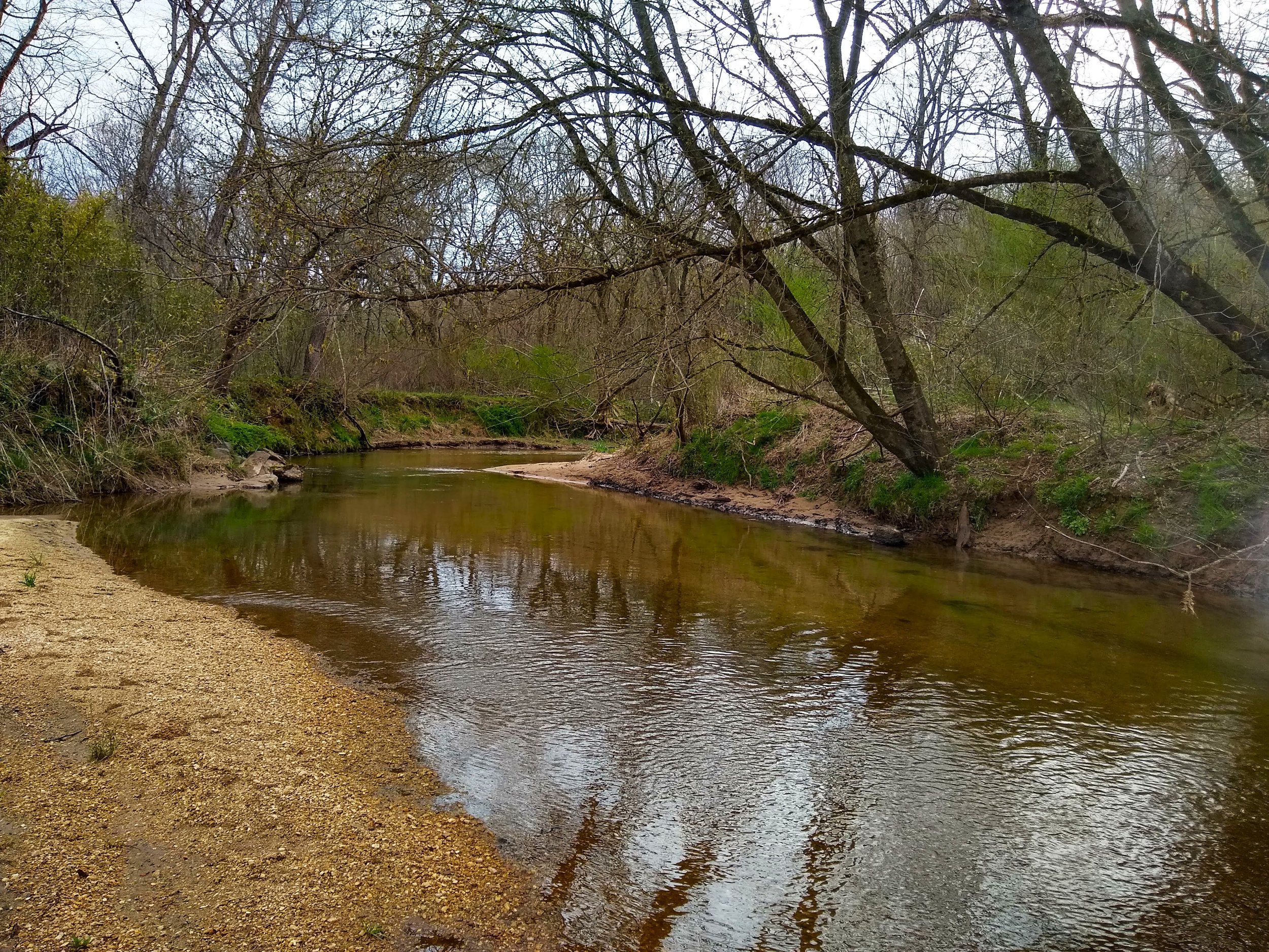 Beaver Creek in Wilkes Co., NC - Photo by Crum