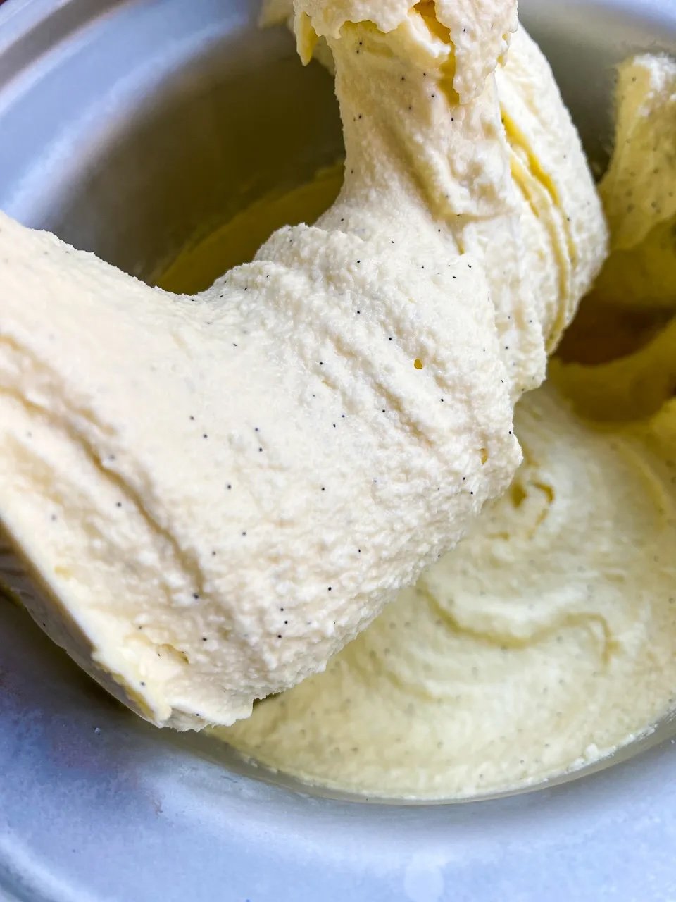Homemade vanilla bean ice cream hot sale