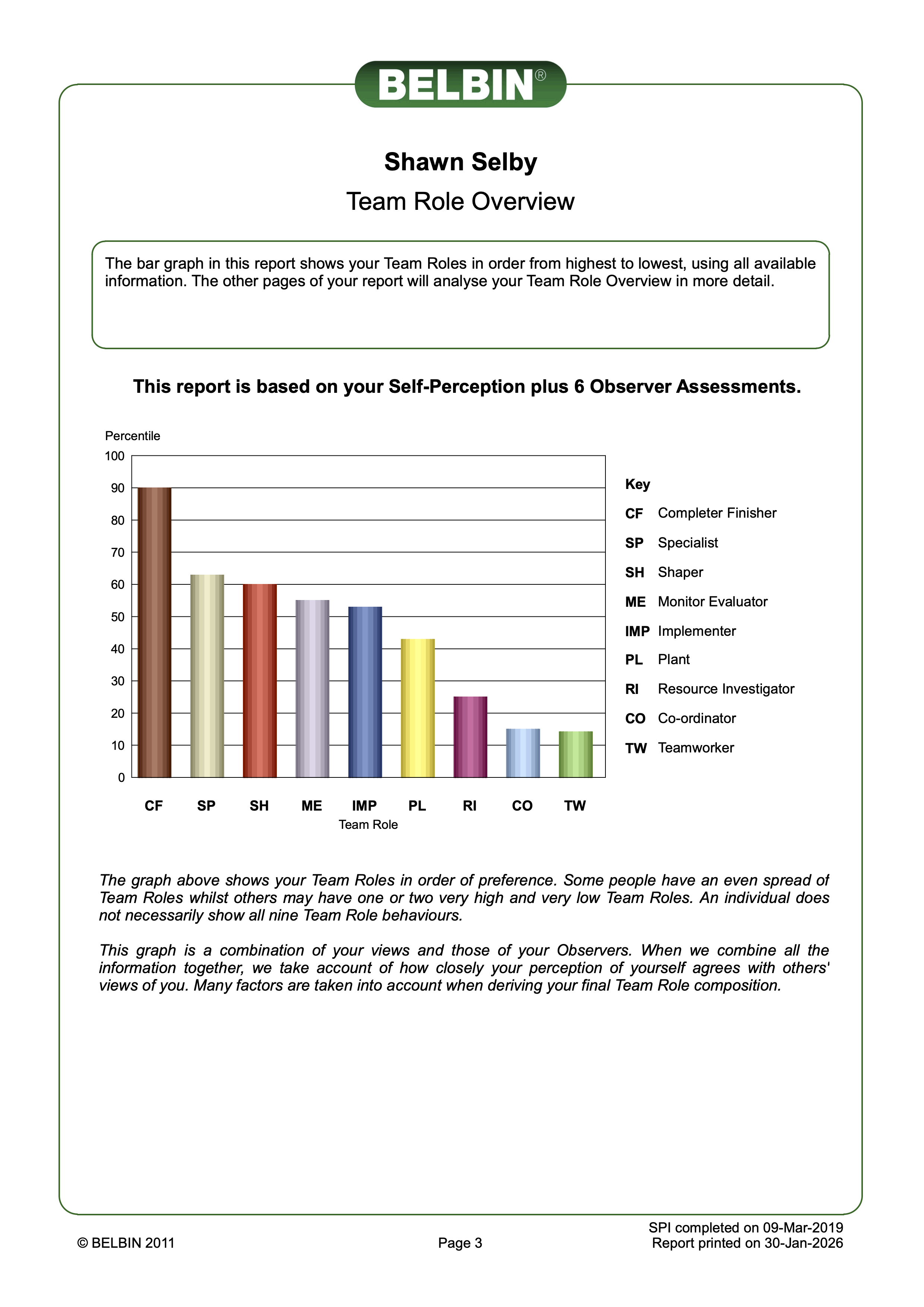A page from Shawn Selby's Belbin Report.