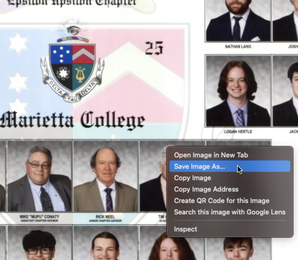 A screenshot showing users of the website how to download or save an image of a composite.
    style=