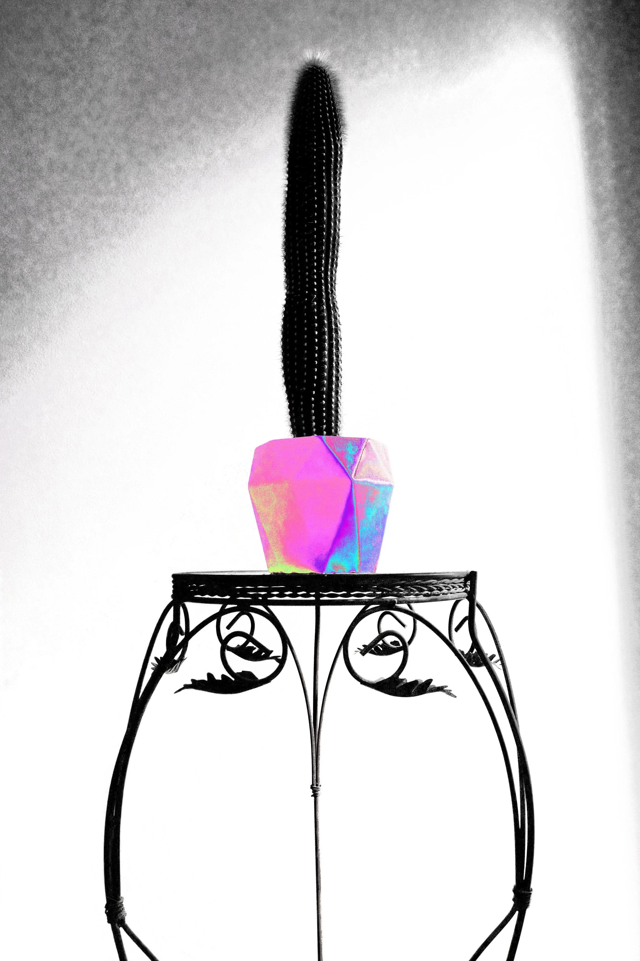 _DSF1637 color edit.jpg