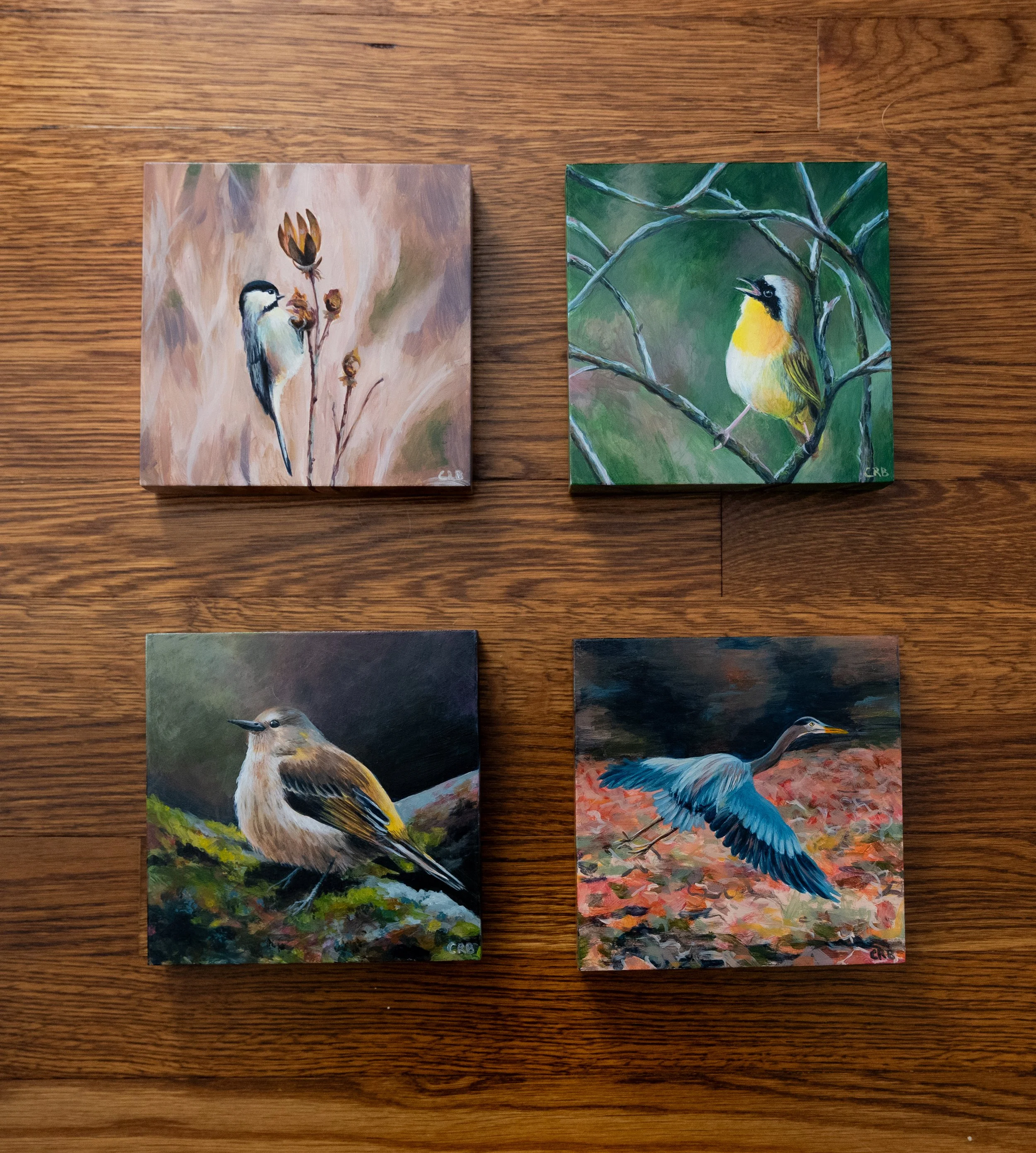 birds for lauren-2.jpg