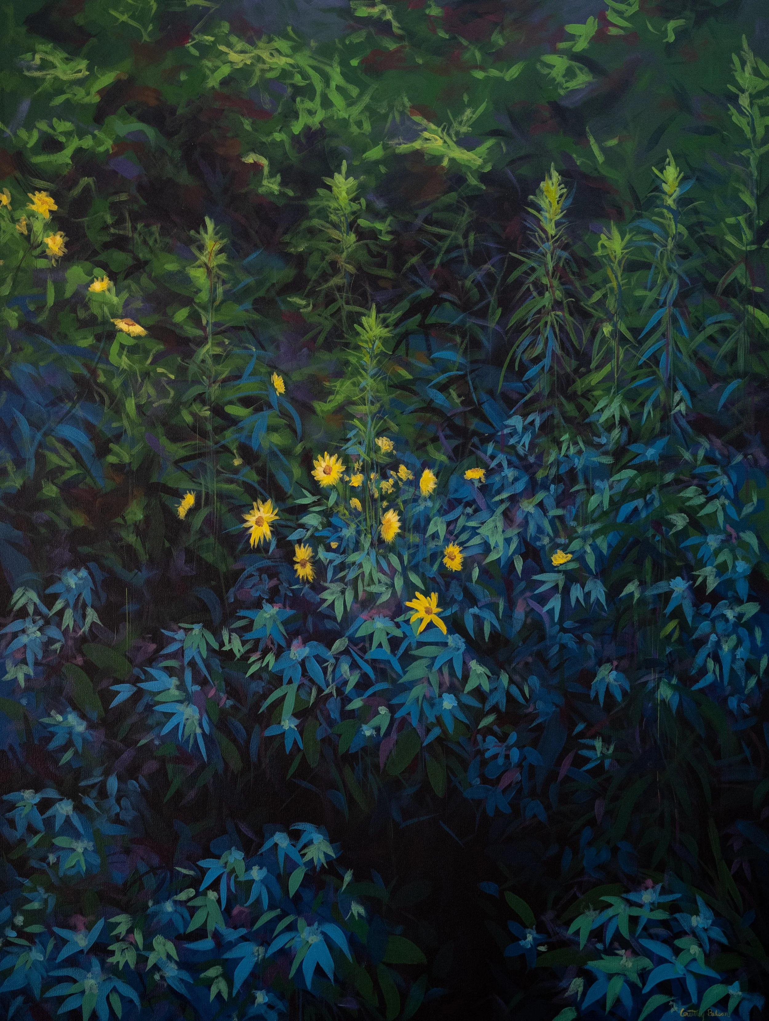 immersed in meadows-2.jpg