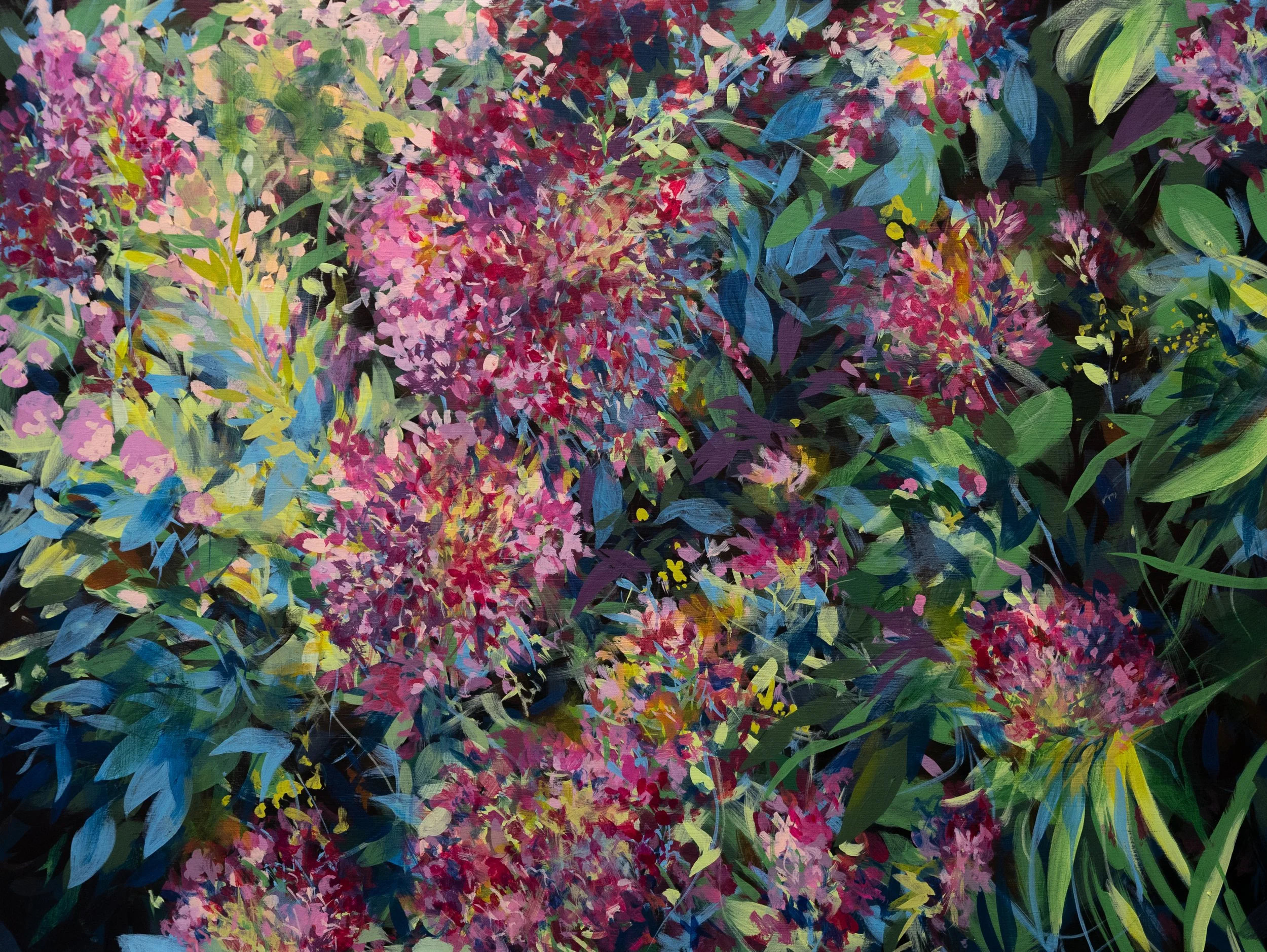 3.5.2026 Stonecrop.jpg