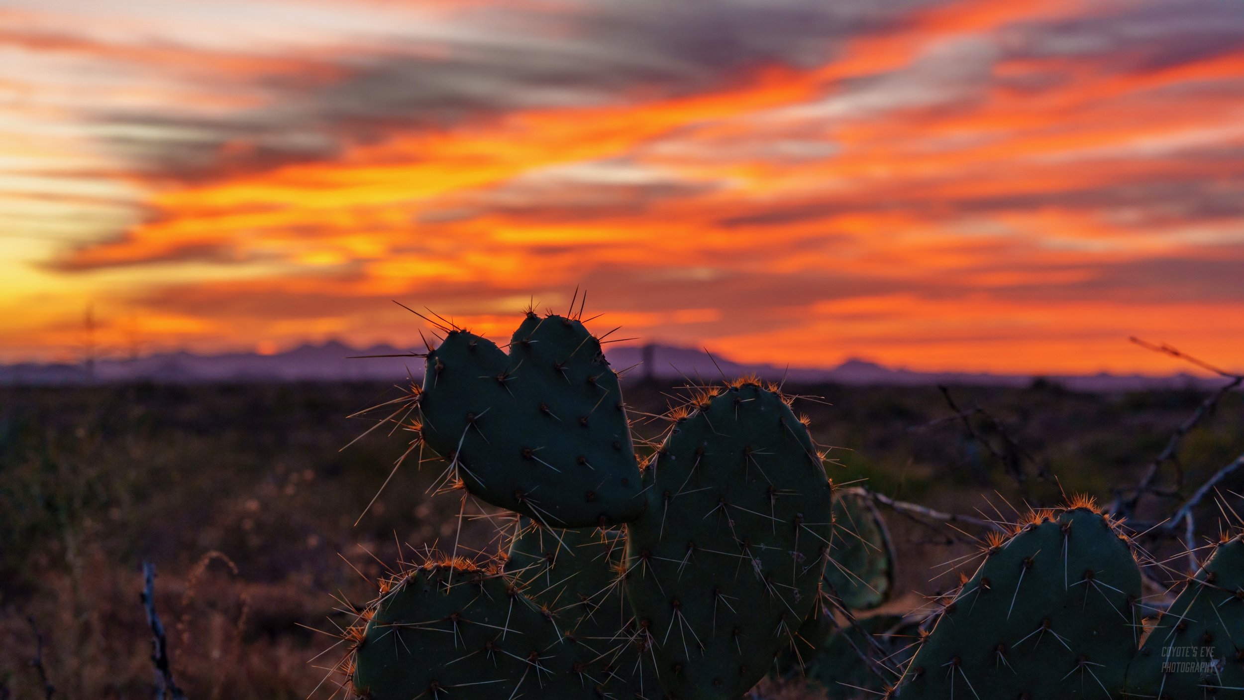 In Memoriam: Arizona
