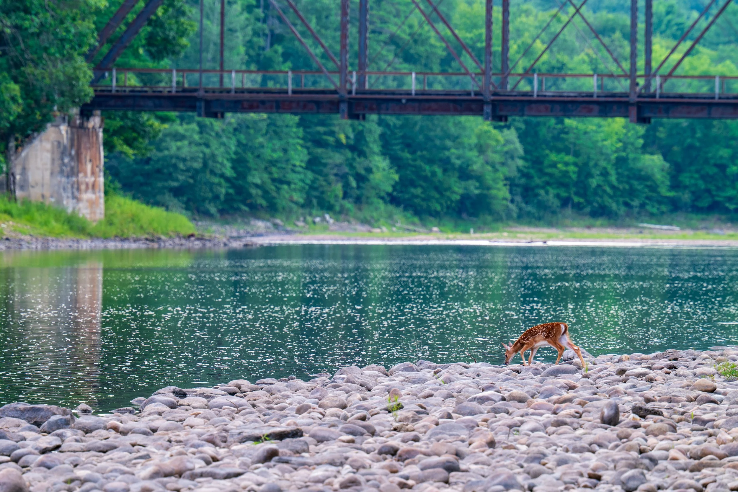 Warrensburg, NY