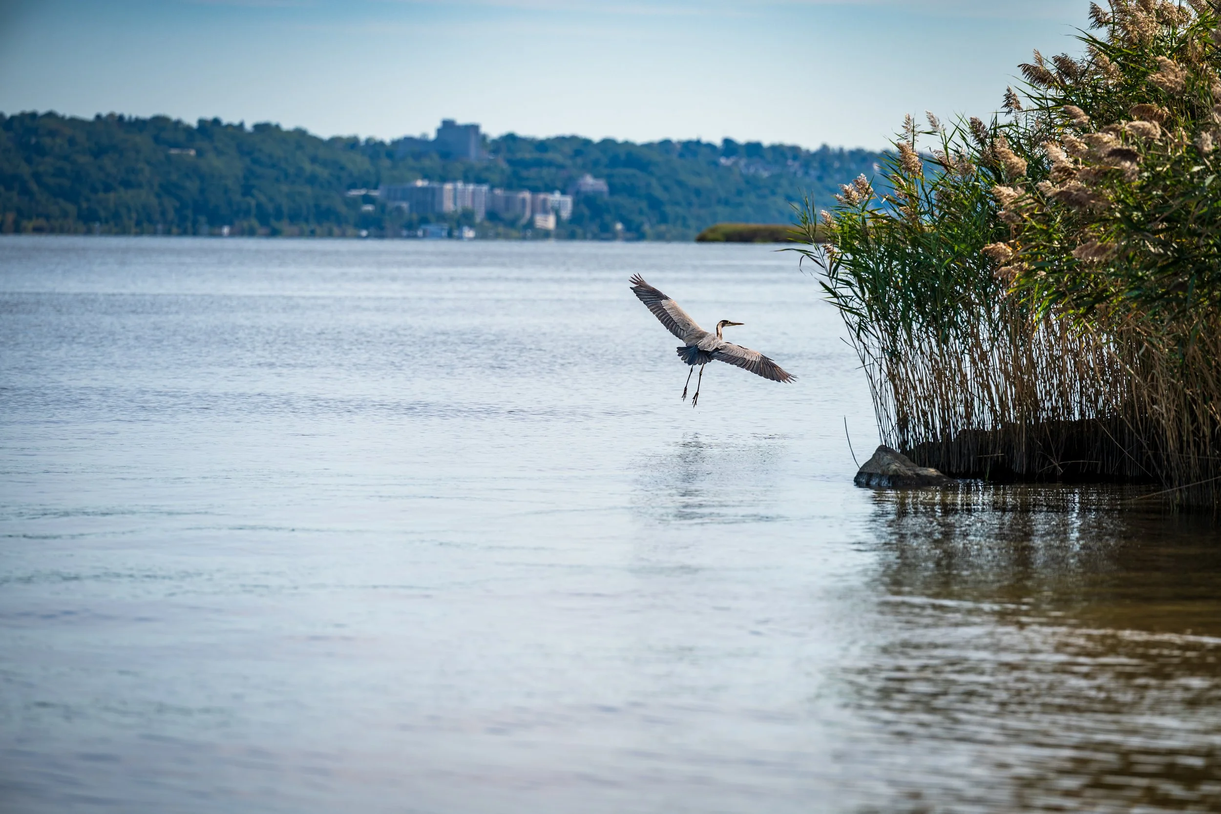 Piermont, NY