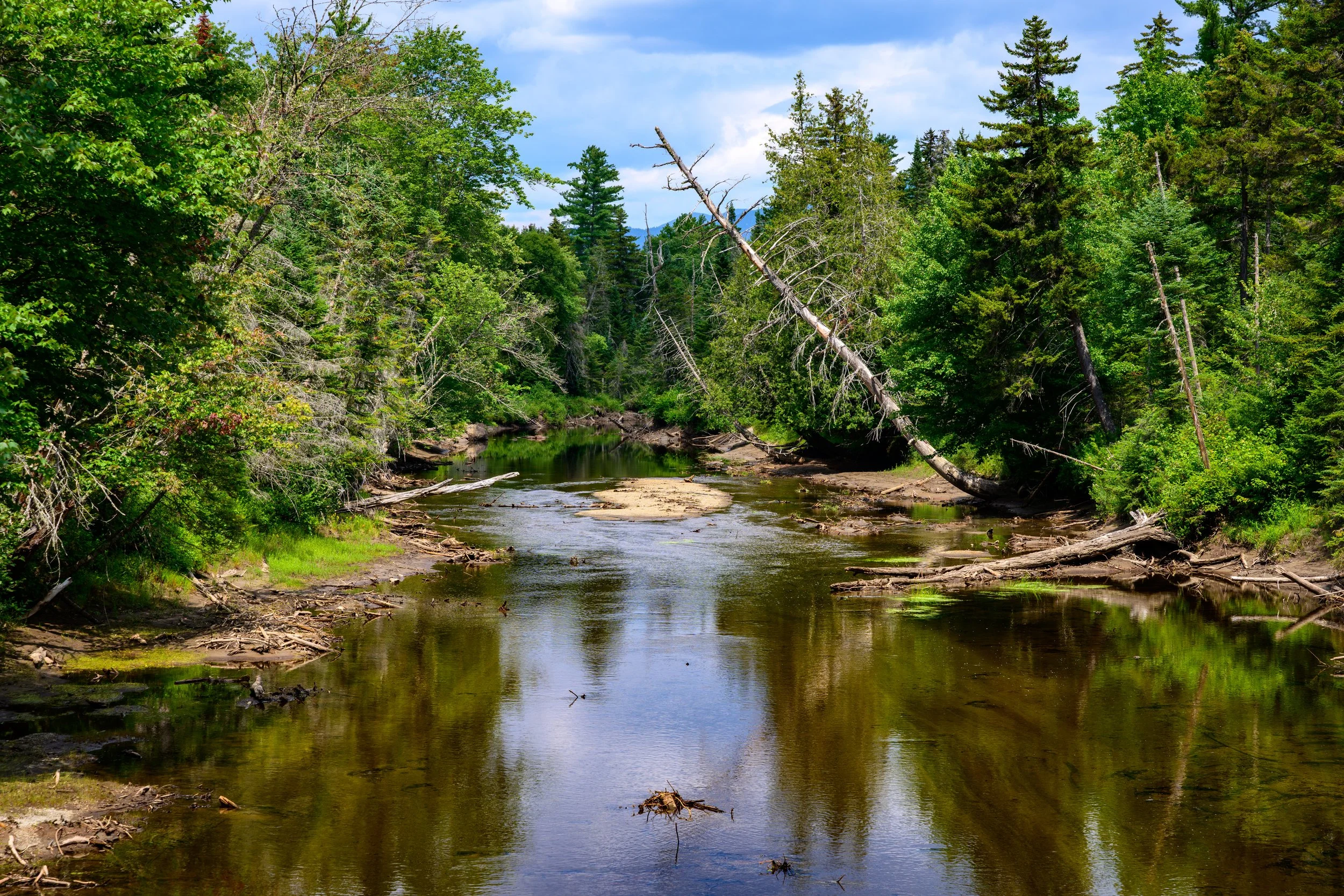 The Source of the Hudson