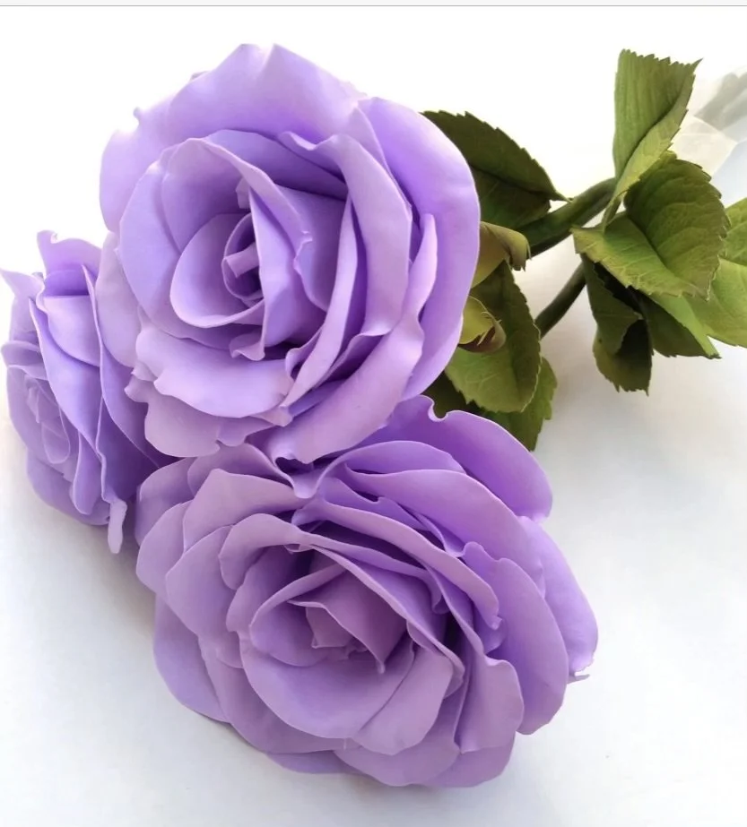 Violet Roses.jpg