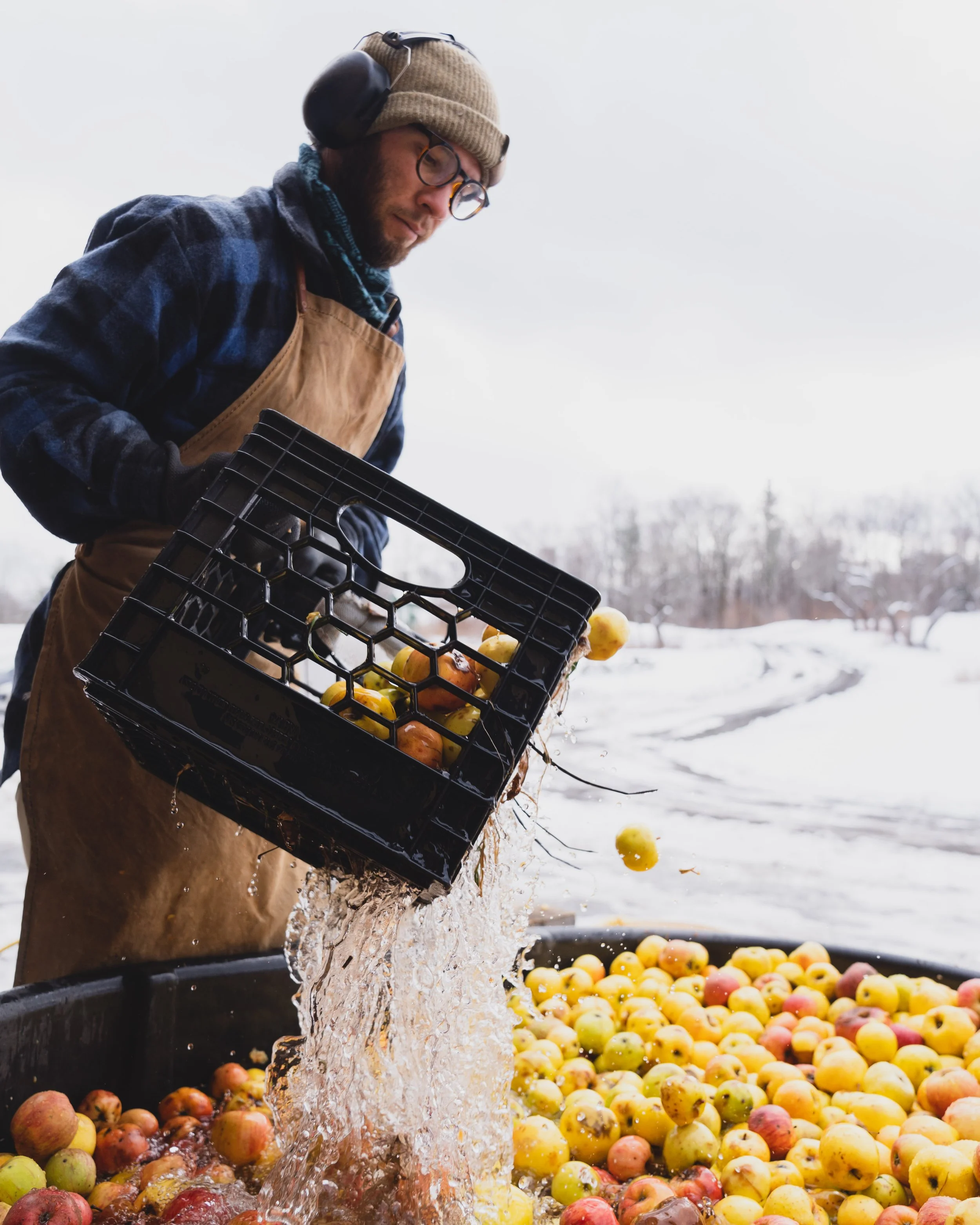 matt, a fable farm employee, cleaning a variety of apples to prep them to be turned into cider